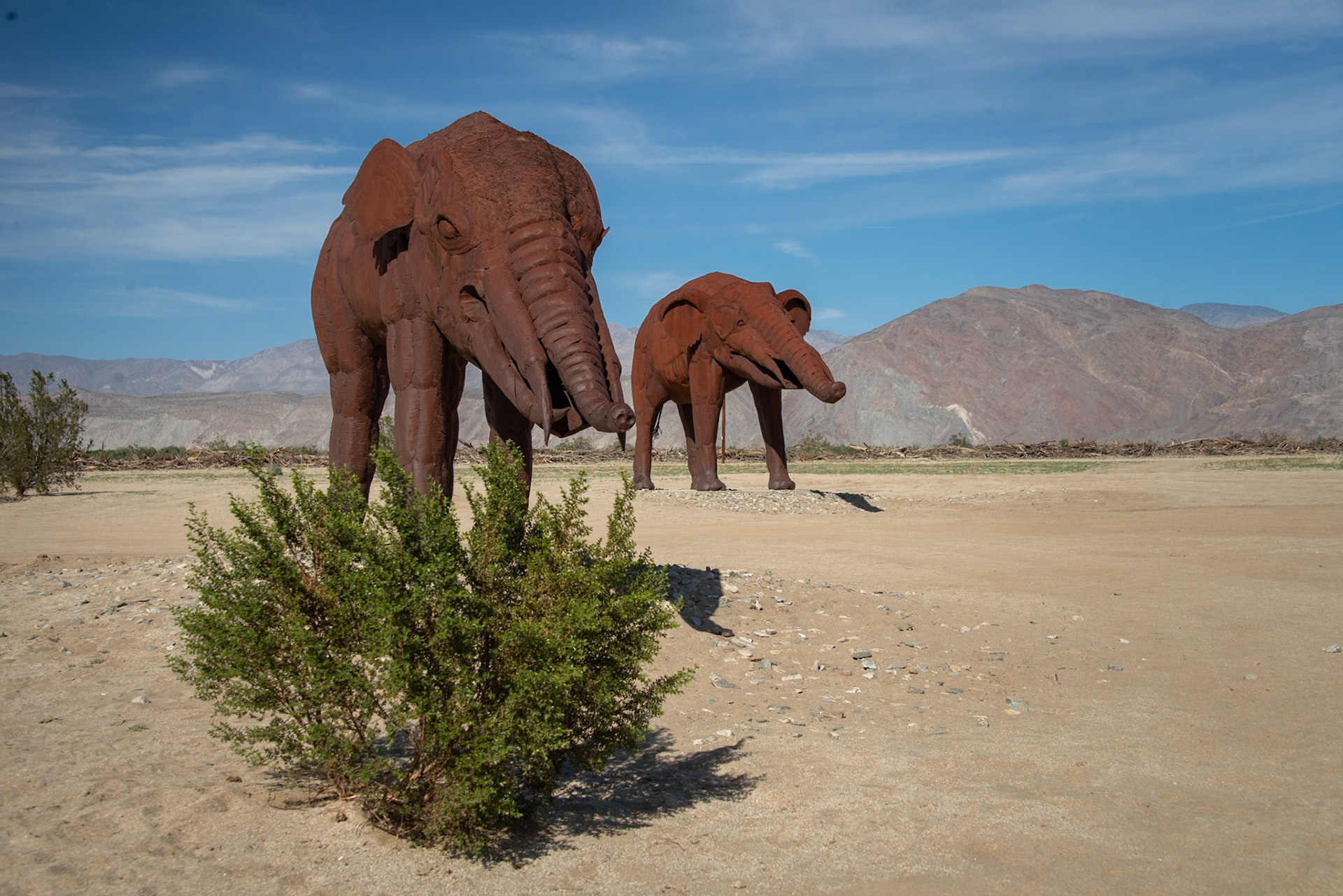 Anza-Borrego Desert State Park