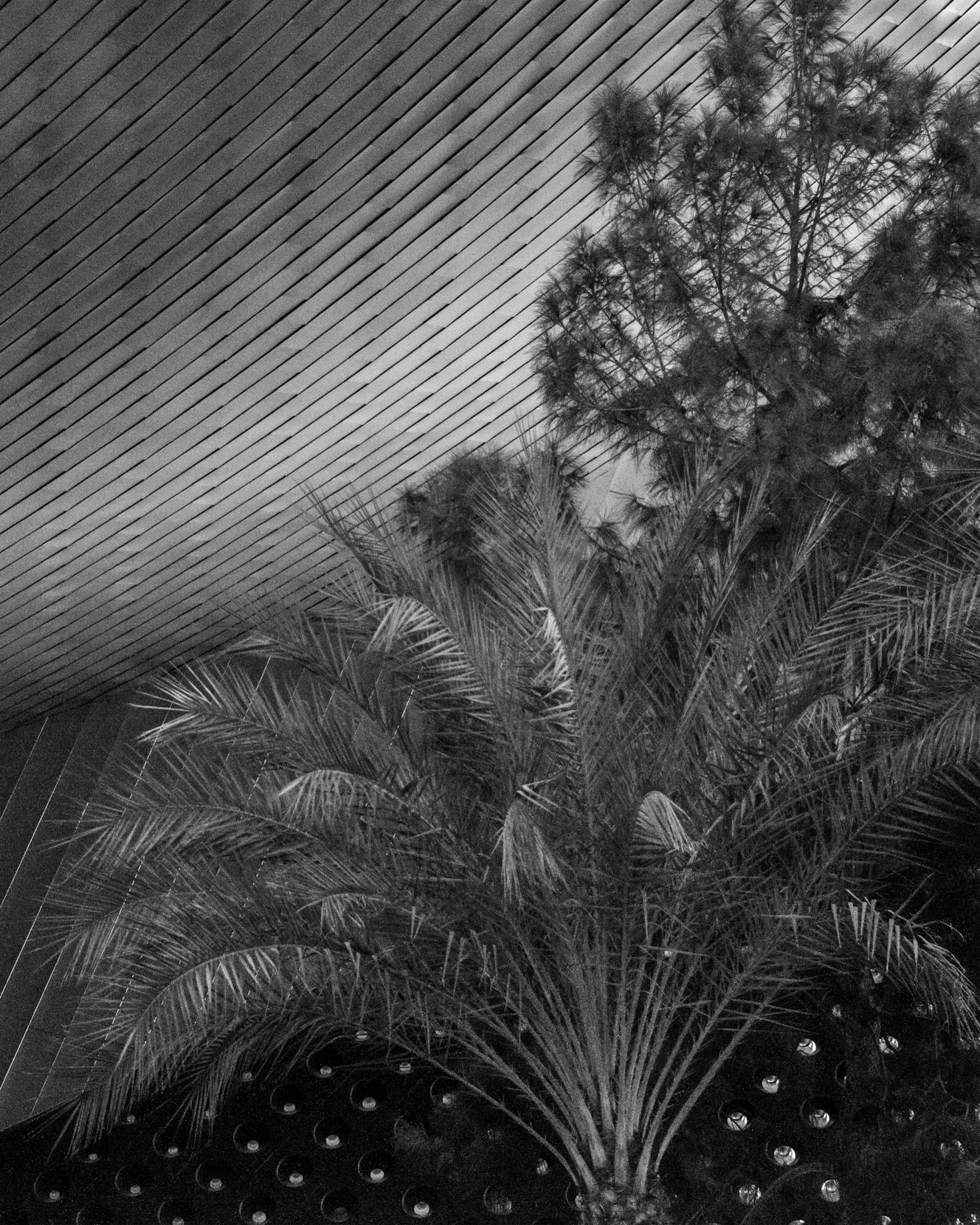 Las Vegas Architecture