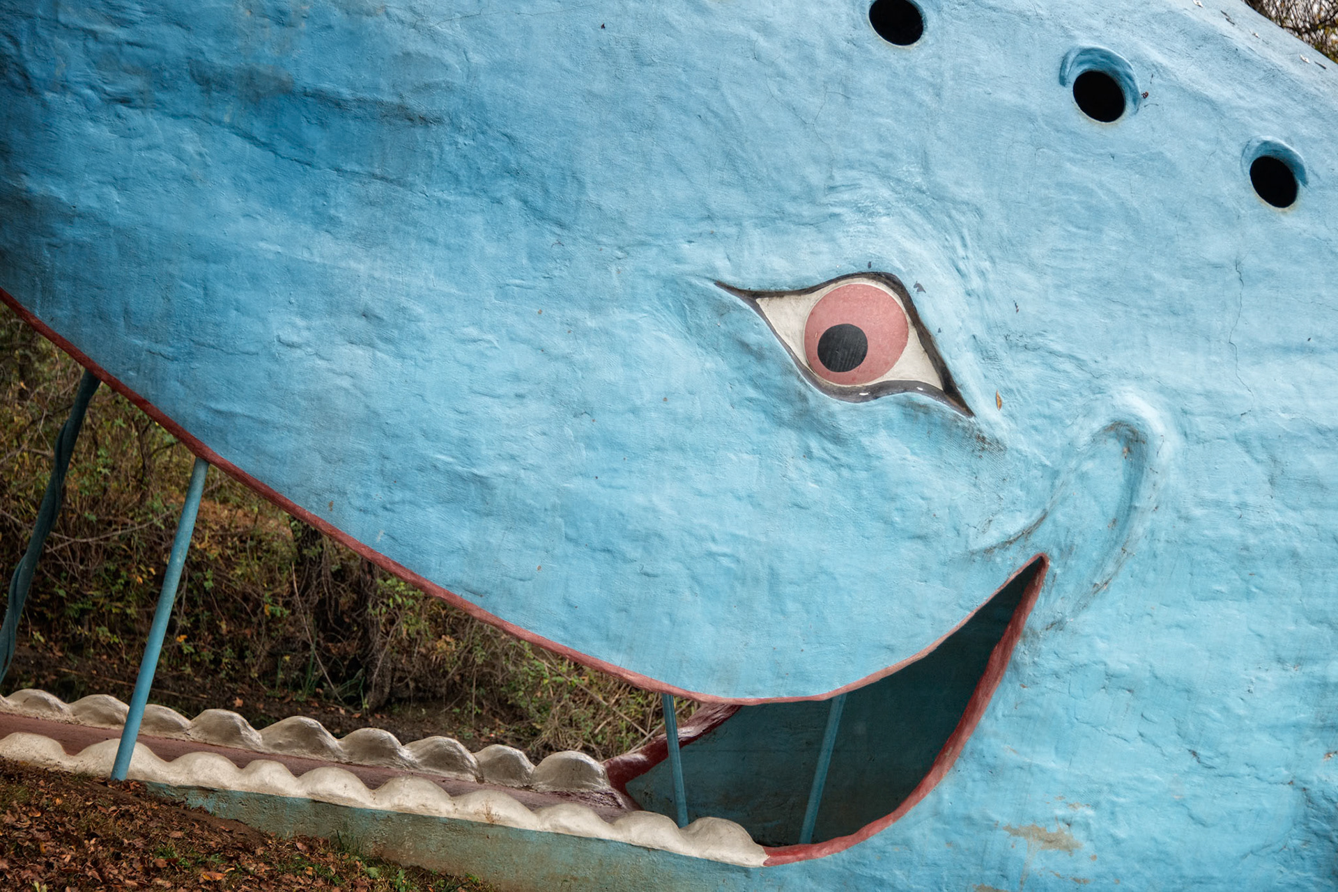 Catoosa, OK is home to the historic "Blue Whale", residing in a former swimming hole. The renovated park no longer allows swimming, but is a pleasant spot for a picnic!