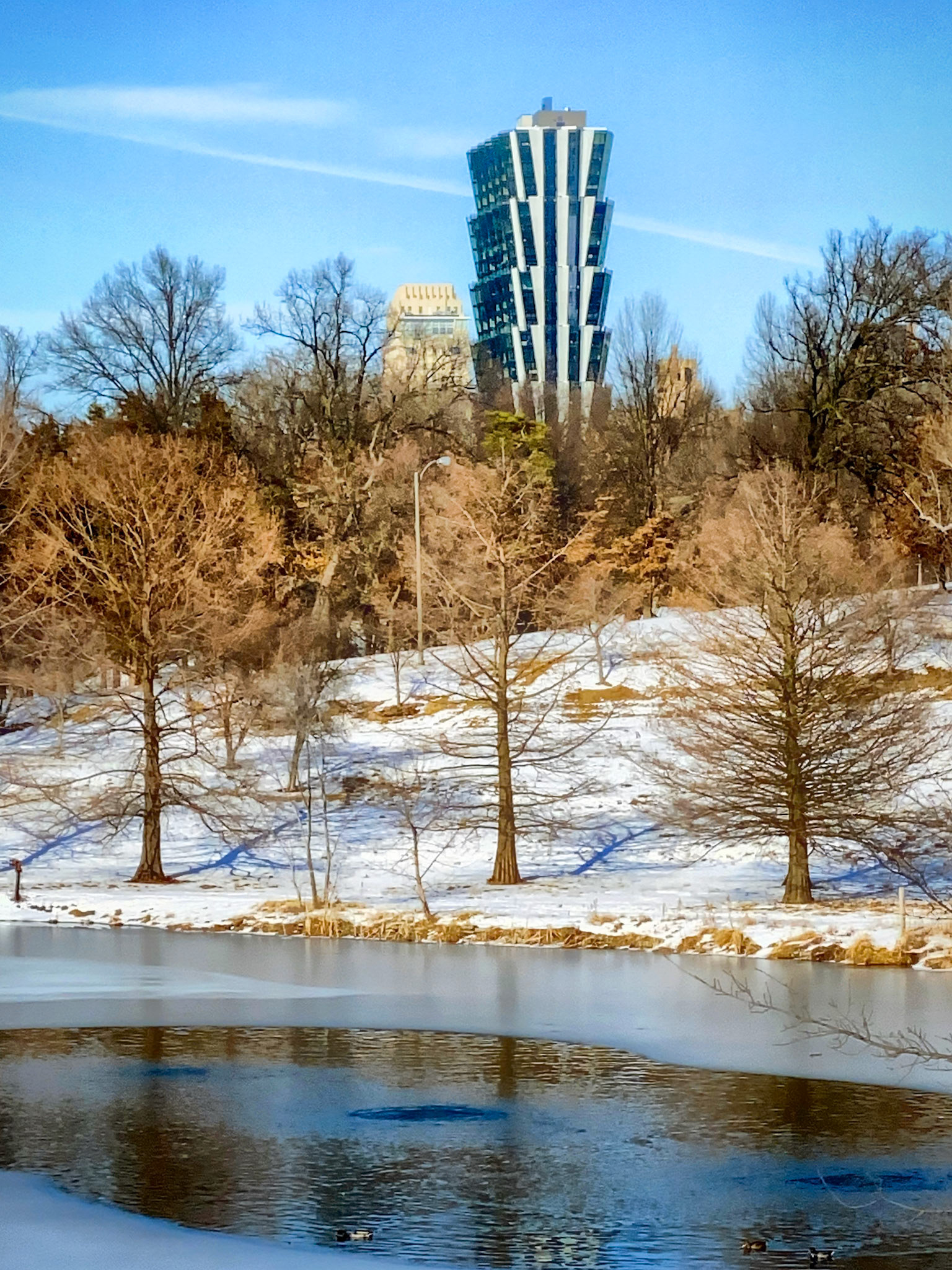 Central West End high rises from Forest Park