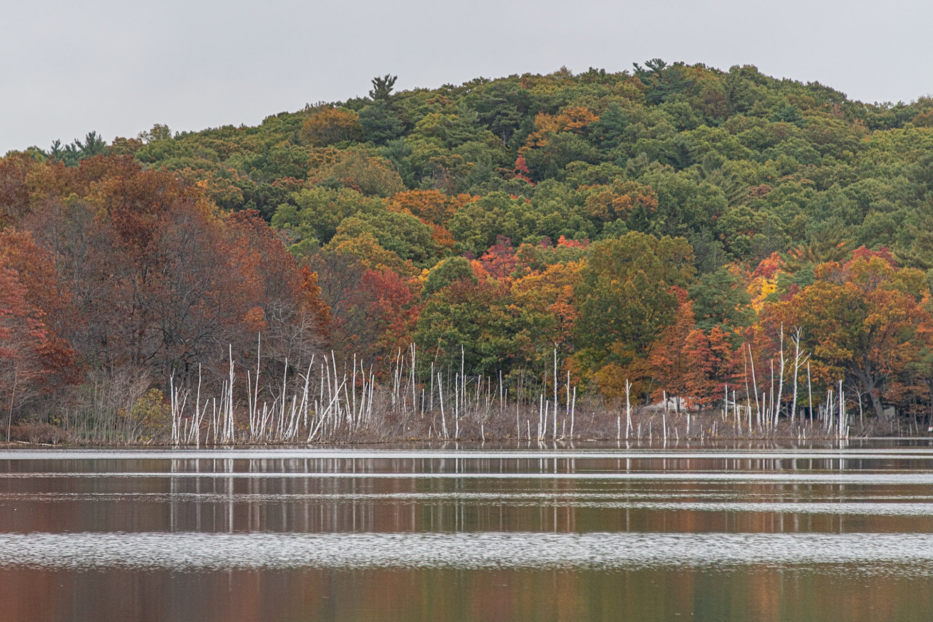 Saugatuck, Michigan #1534