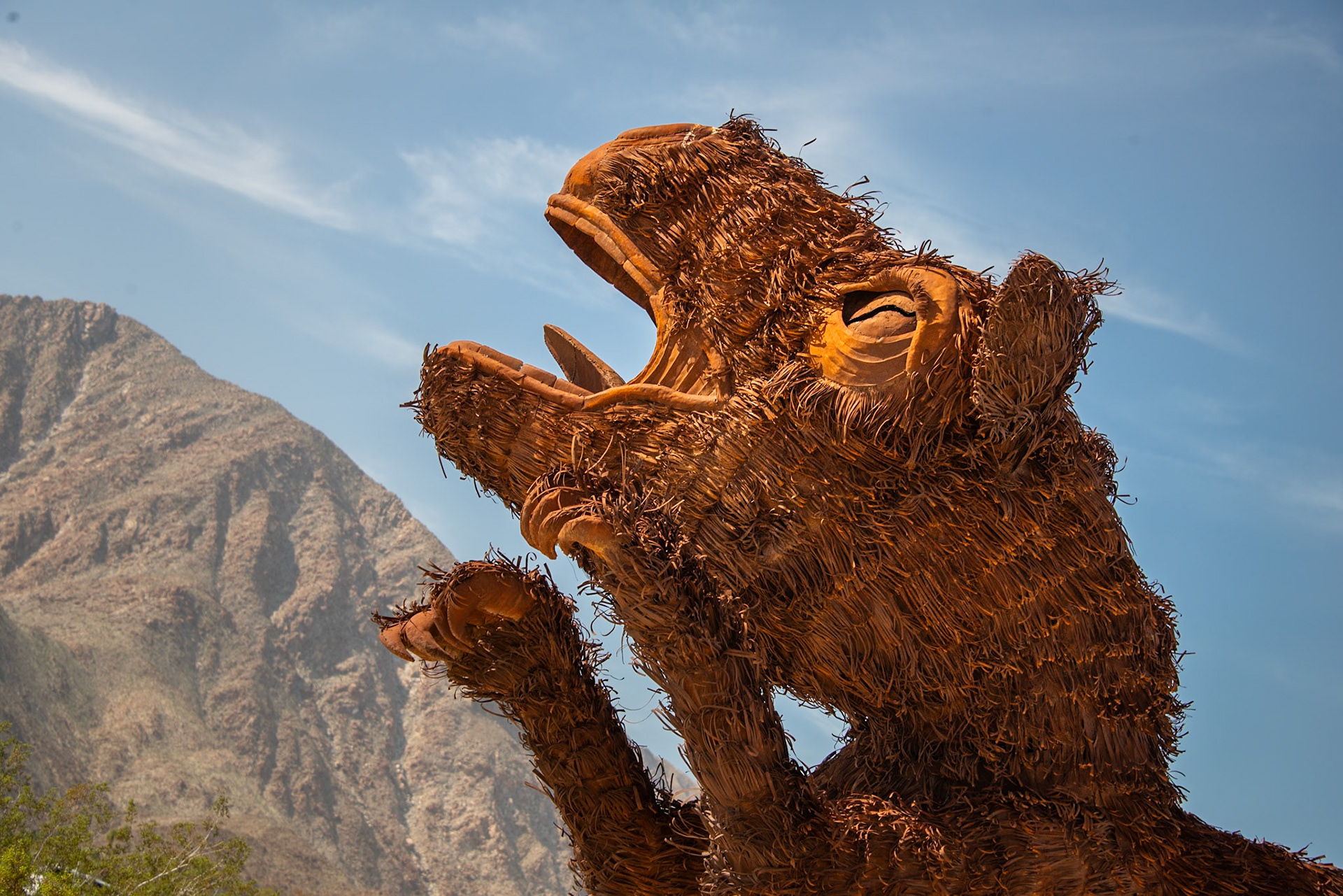 Anza-Borrego Desert State Park