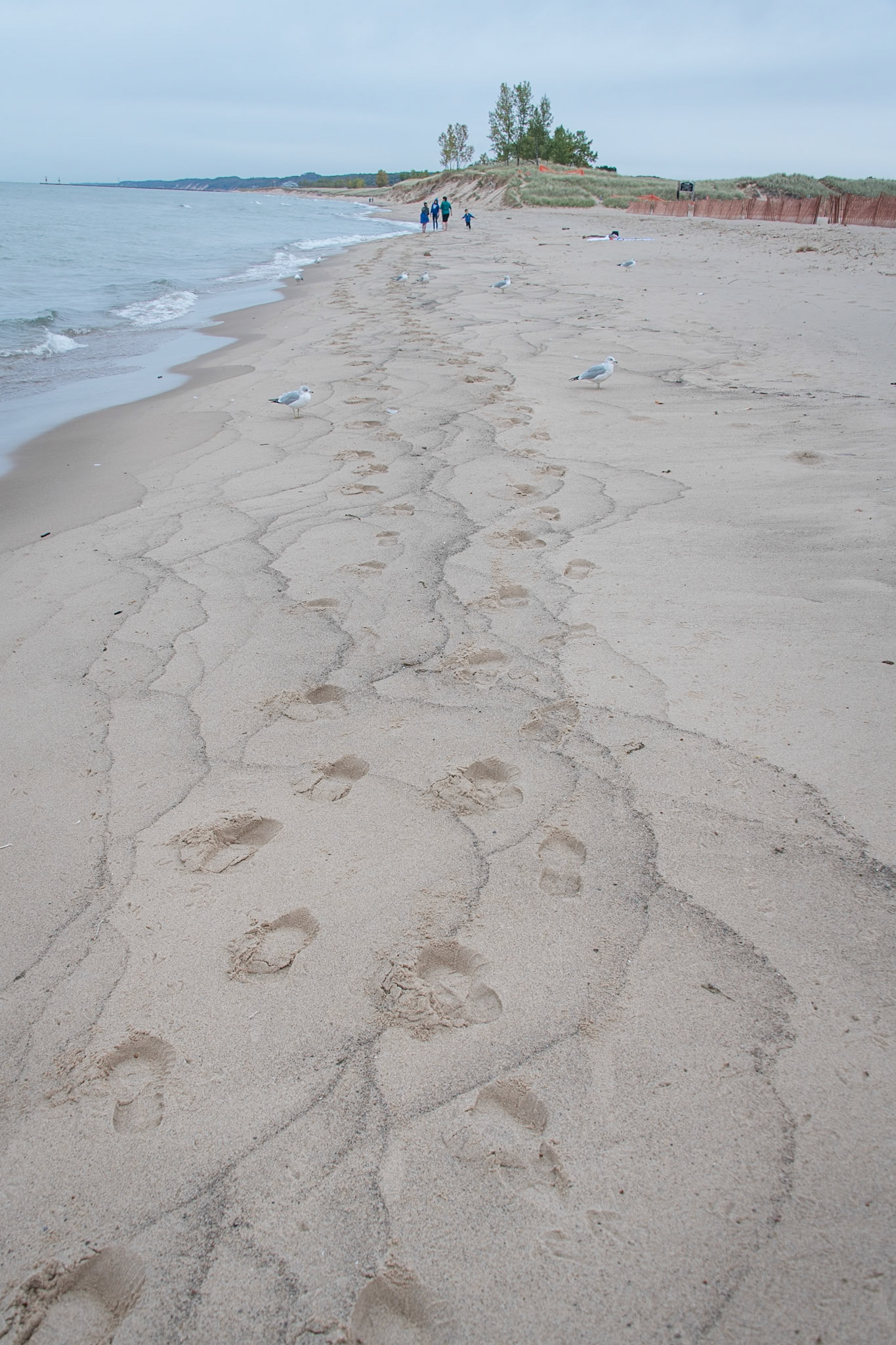 Saugatuck, Michigan #1507