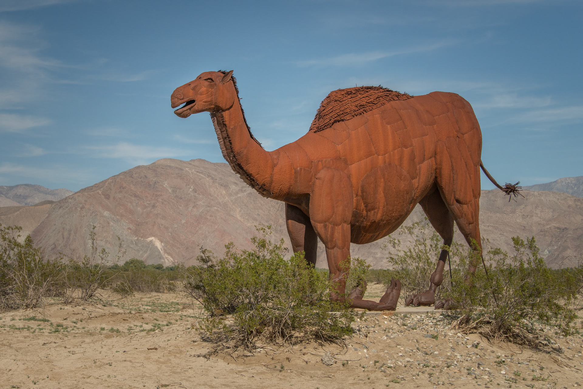 Anza-Borrego Desert State Park