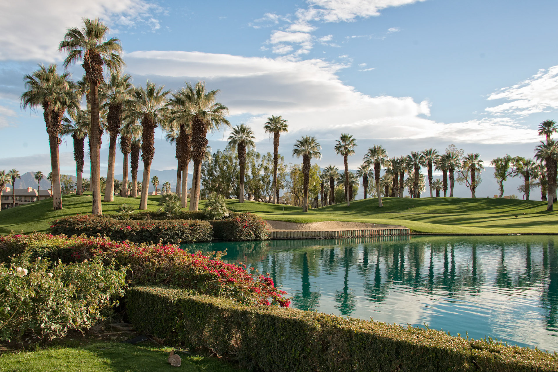 Palm Springs