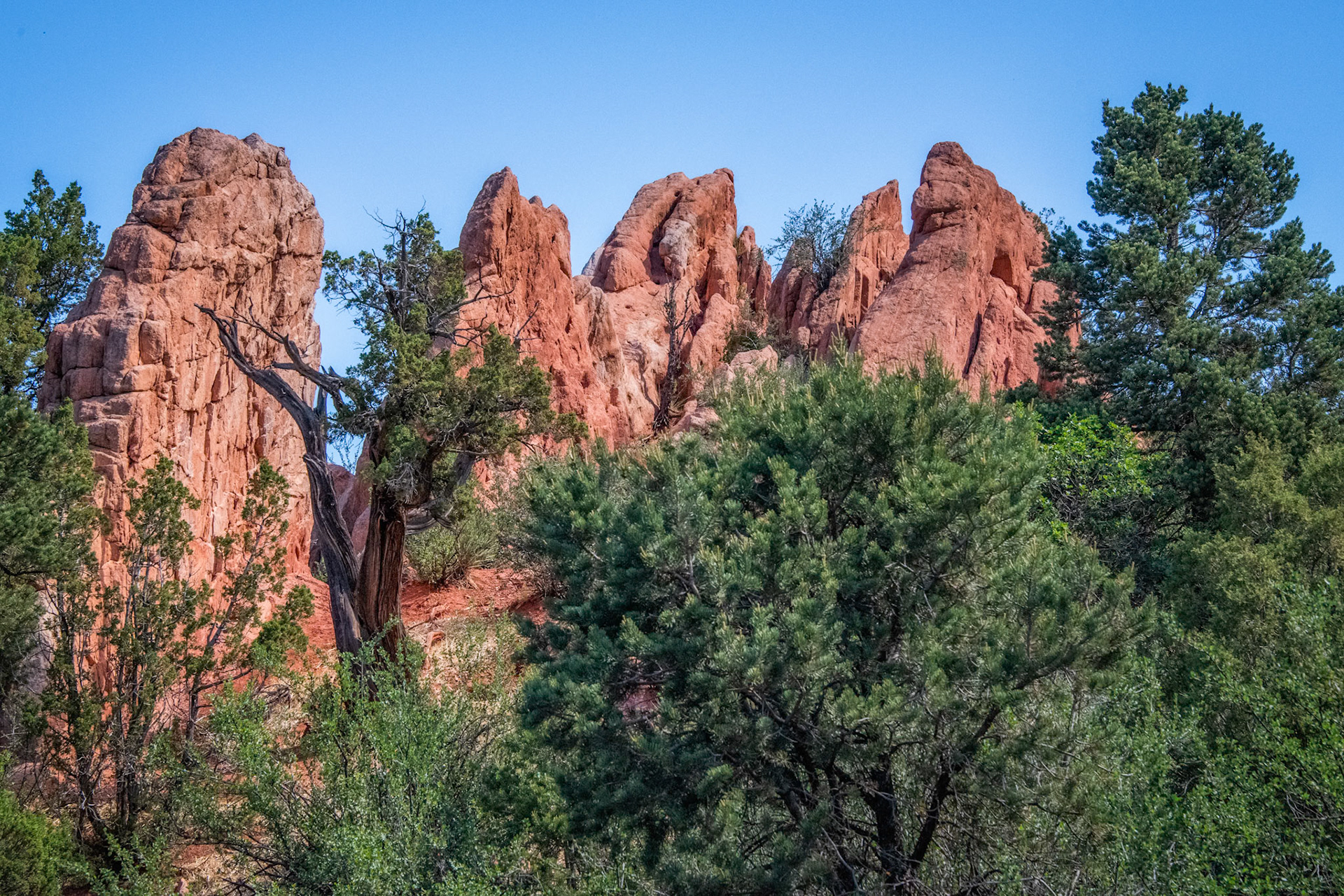 Garden of the Gods