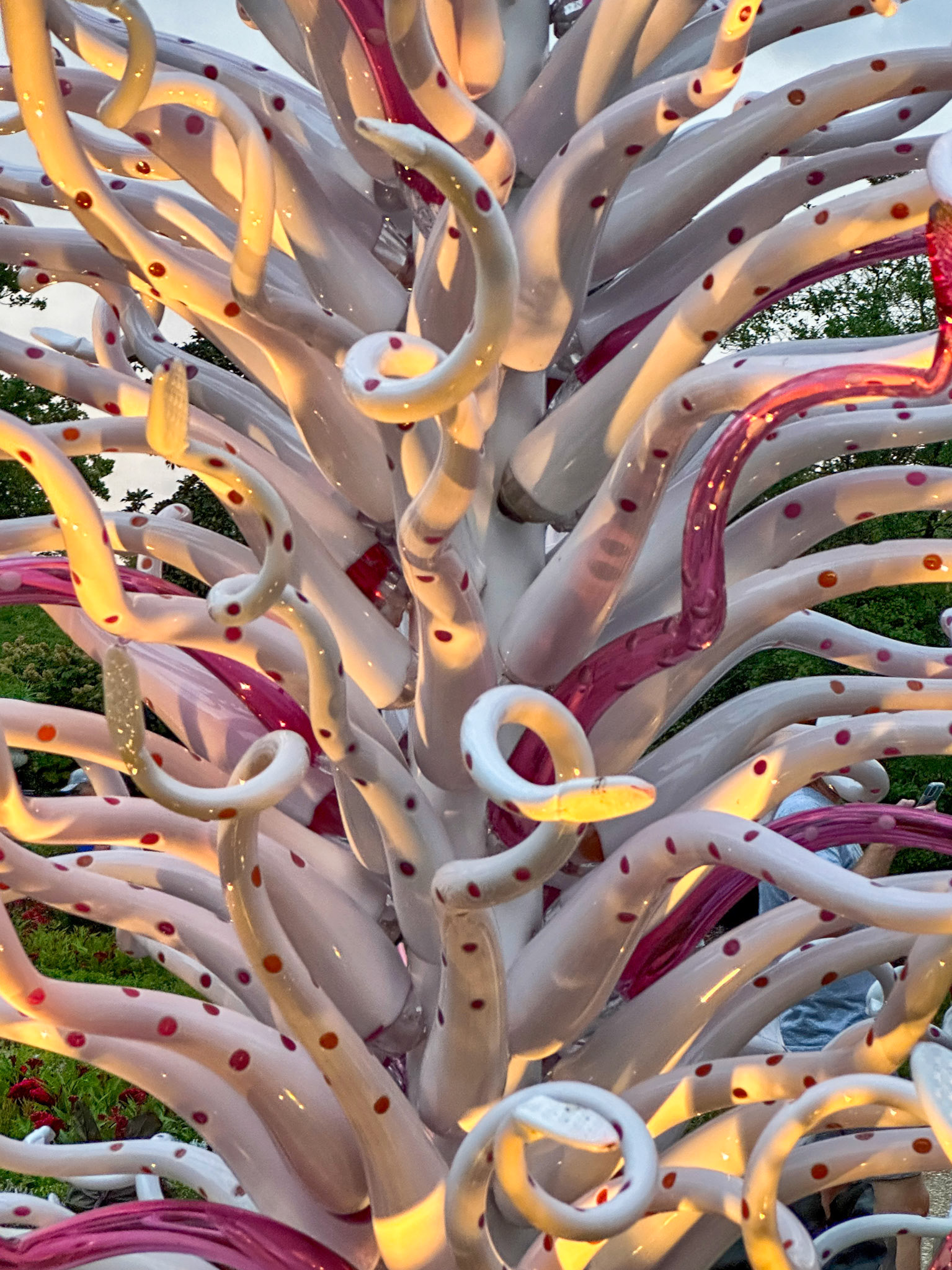 MOBOT Chihuly, 2023