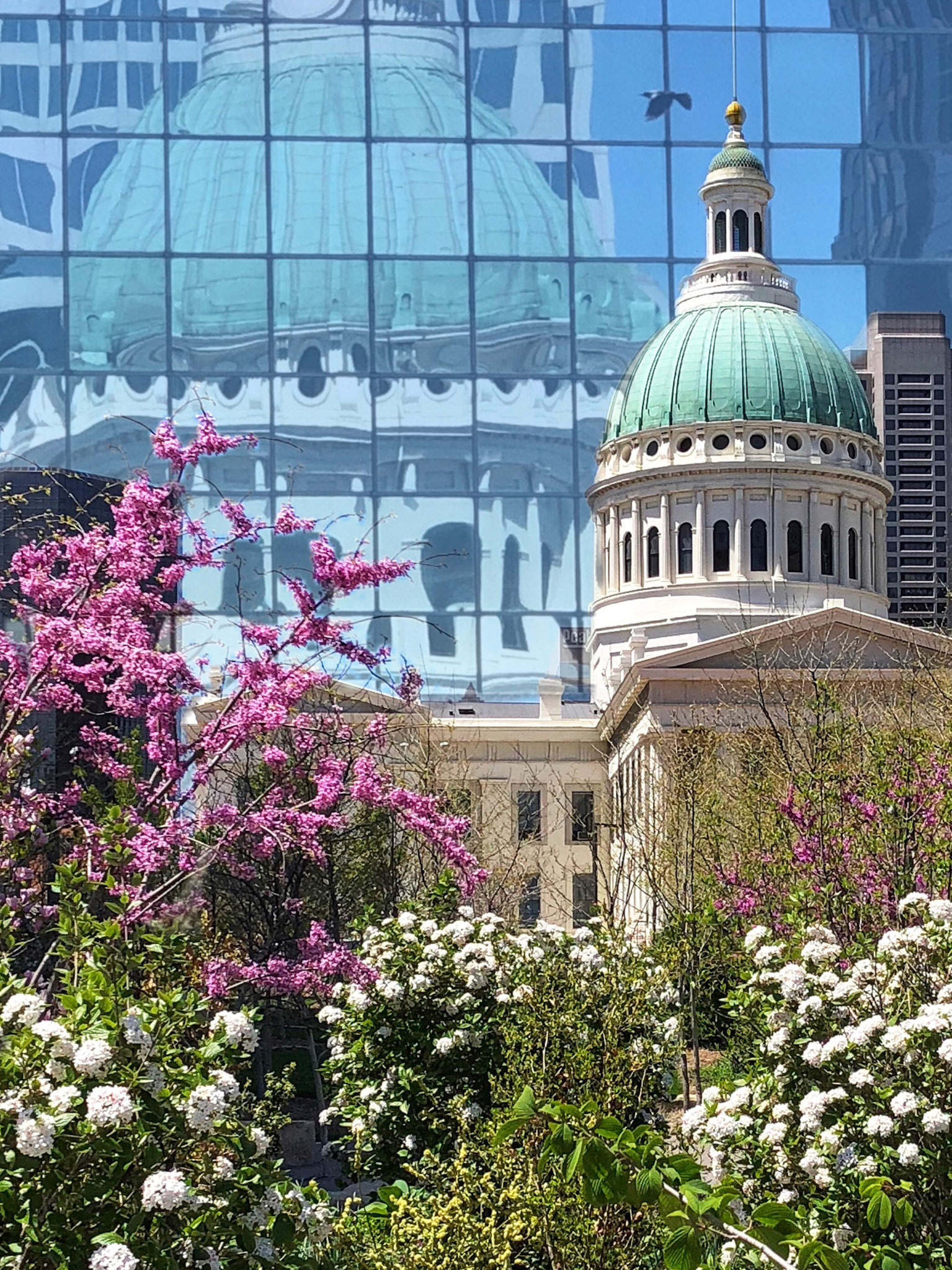 Reflecting the Courthouse; St Louis, MO (Digital Art)