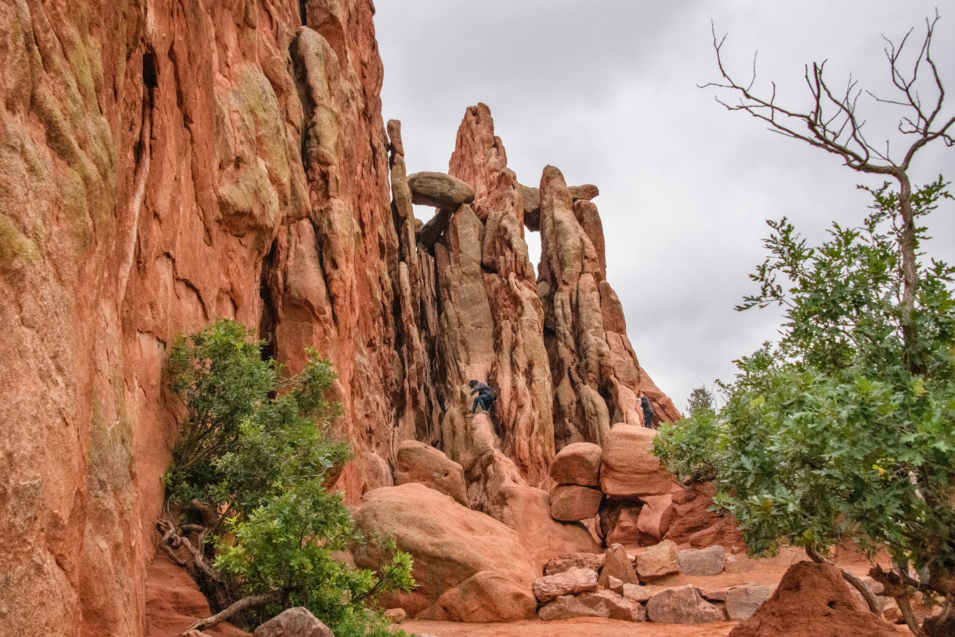 Garden of the Gods