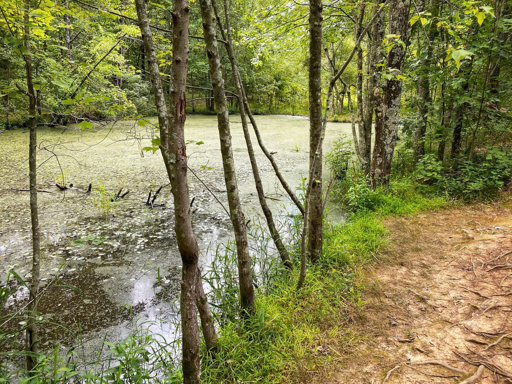 Shawnee National Forest, Garden of the Gods