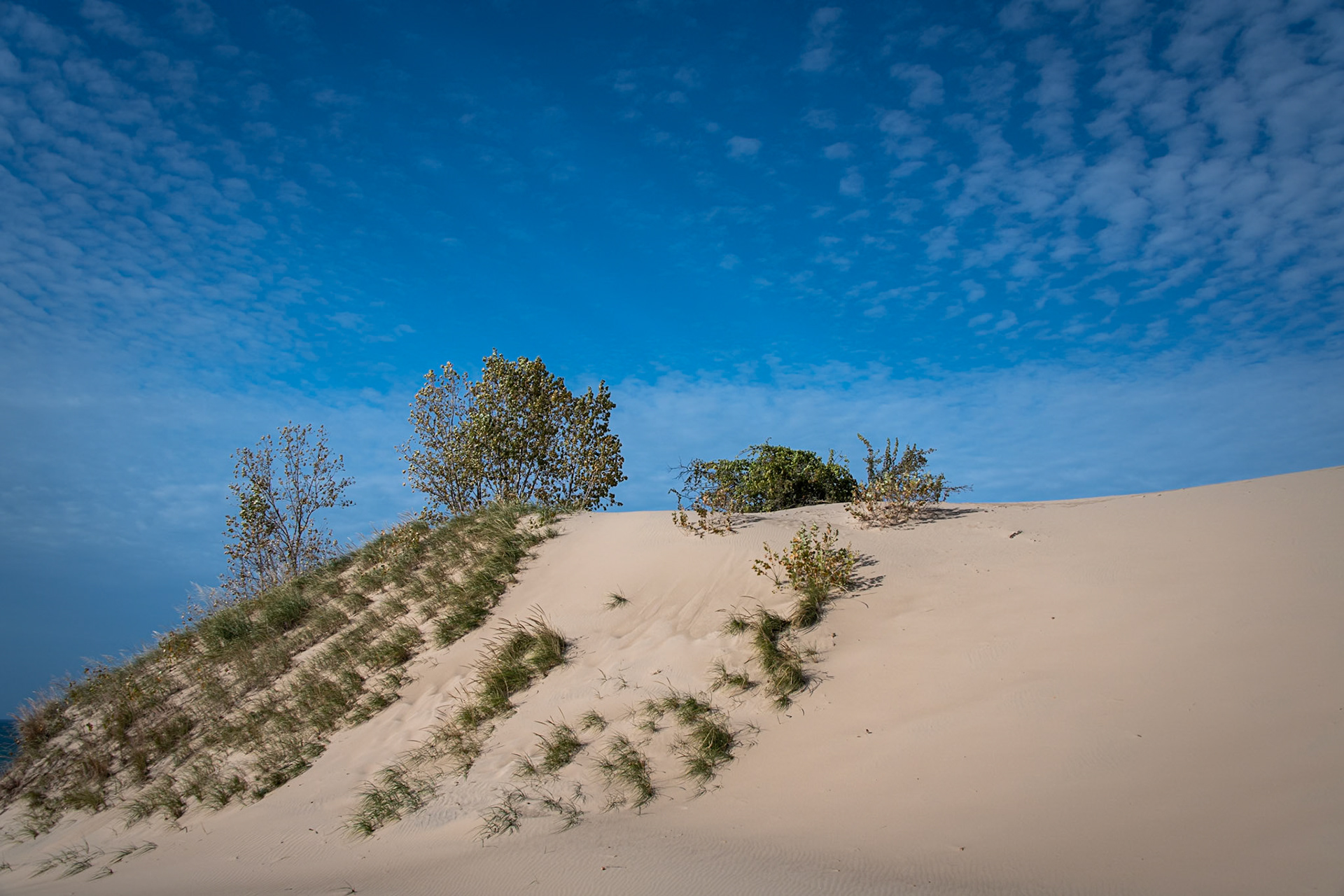Warren Dunes State Park #1609