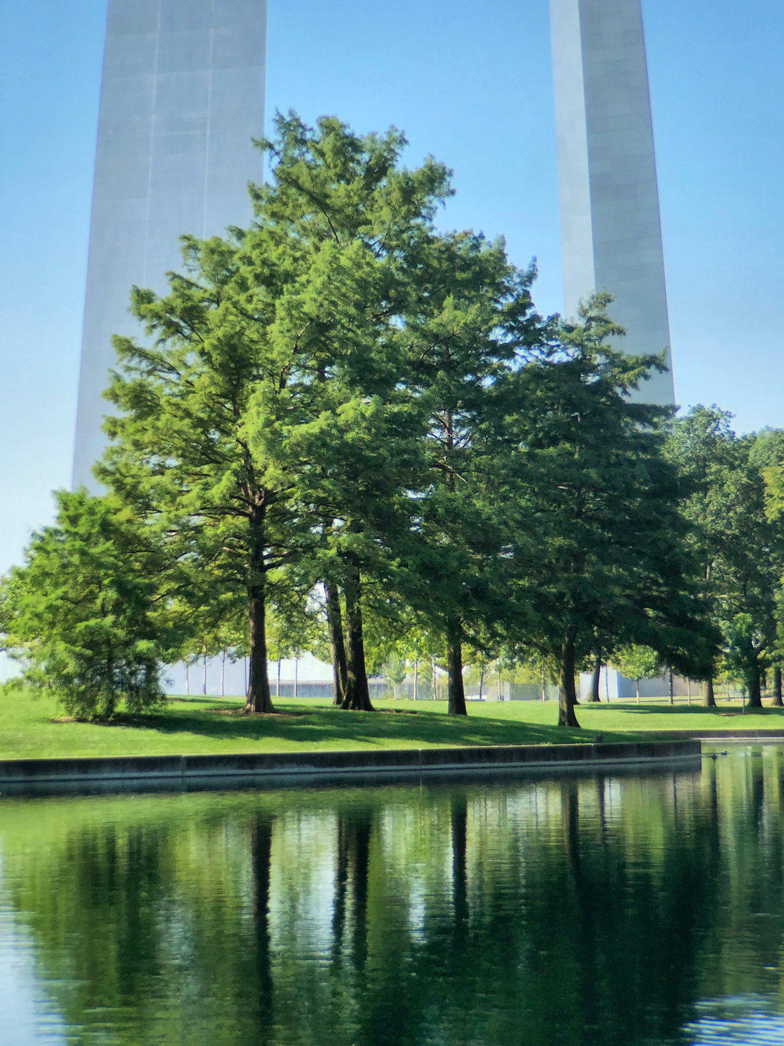Reflection on the Arch Grounds