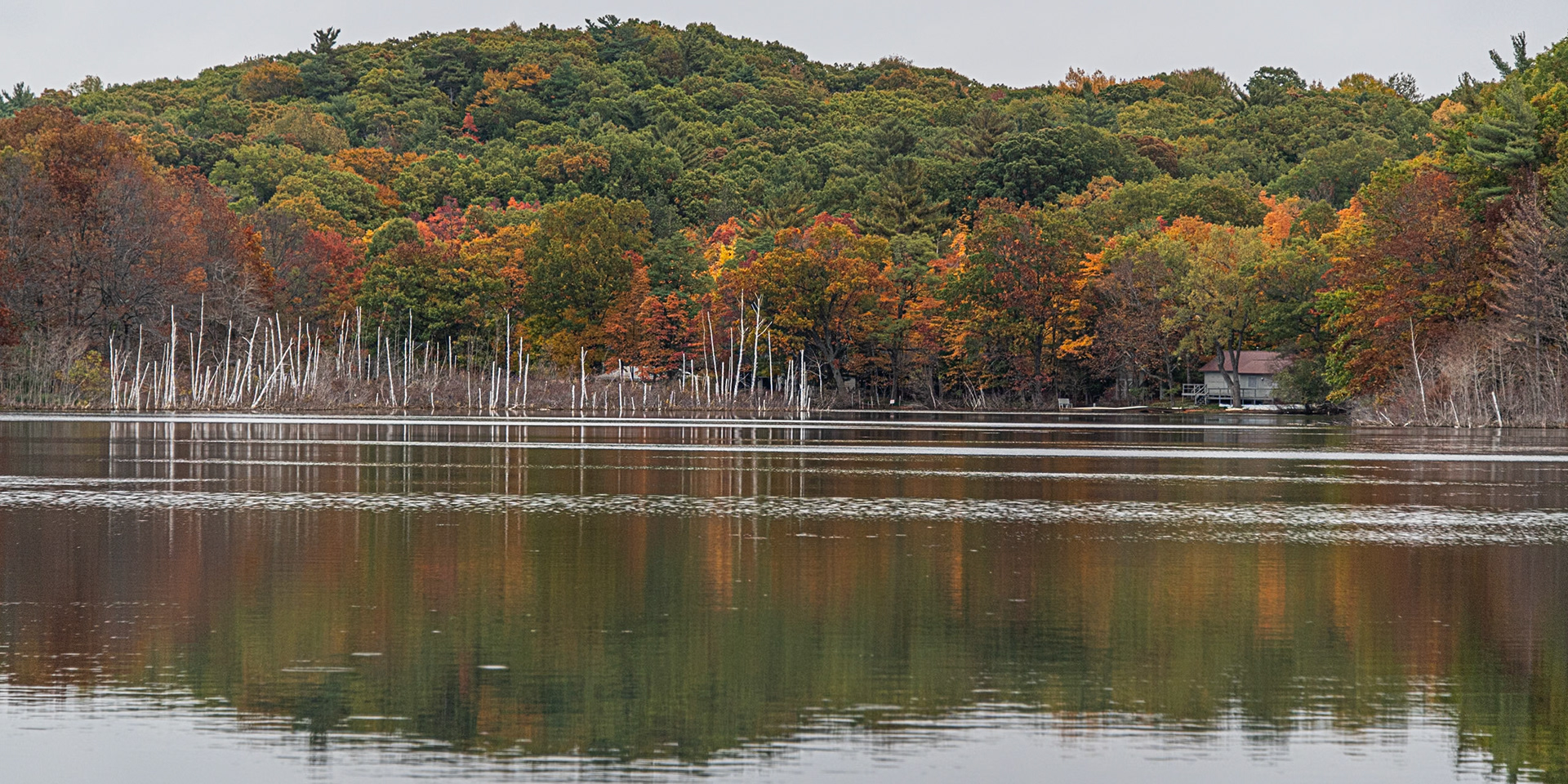 Saugatuck, Michigan #1544