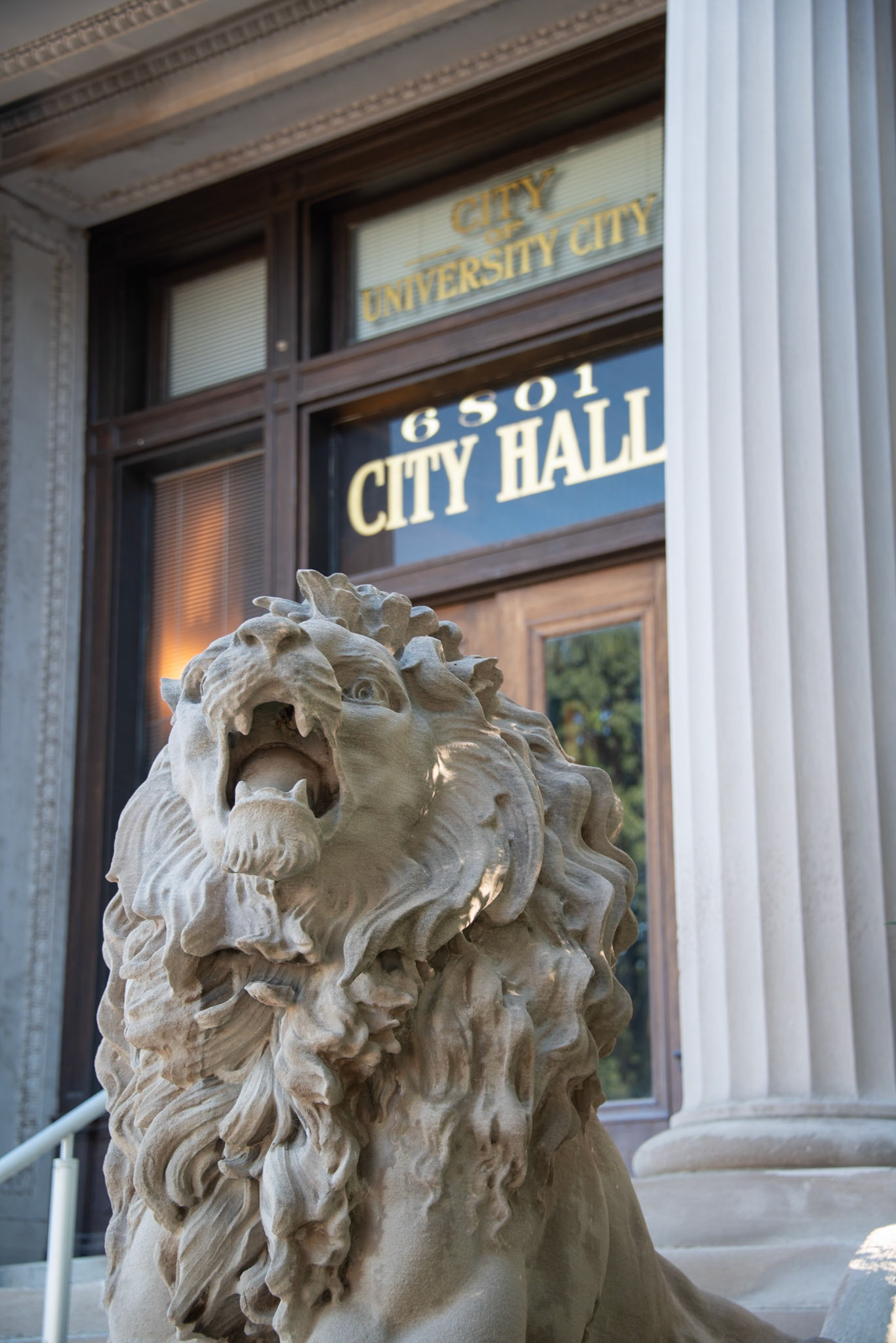 Lion, University City