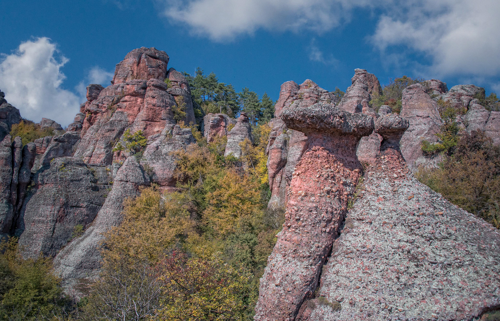 Bulgaria, Vidin and the Countryside