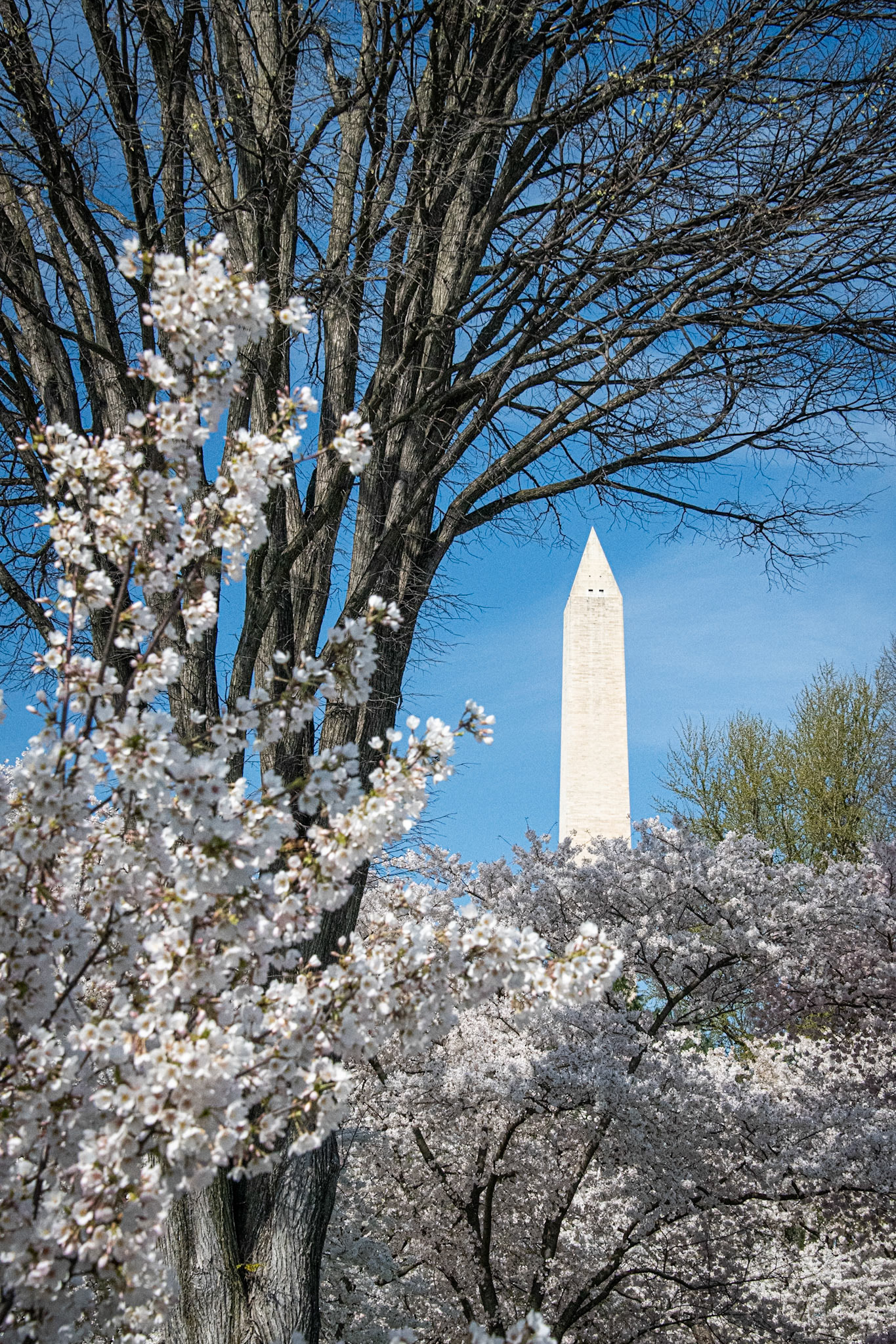 Jefferson Memorial
