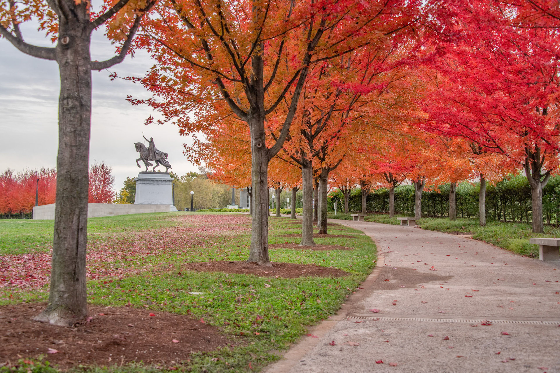 Fall in Forest Park