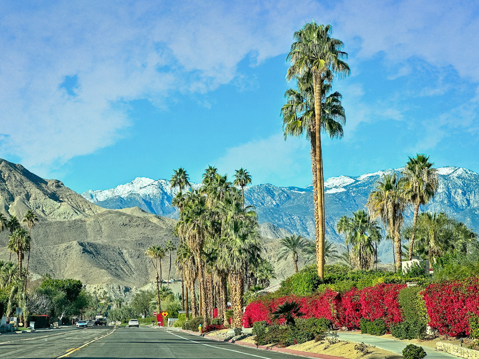 Driving Through Palm Springs