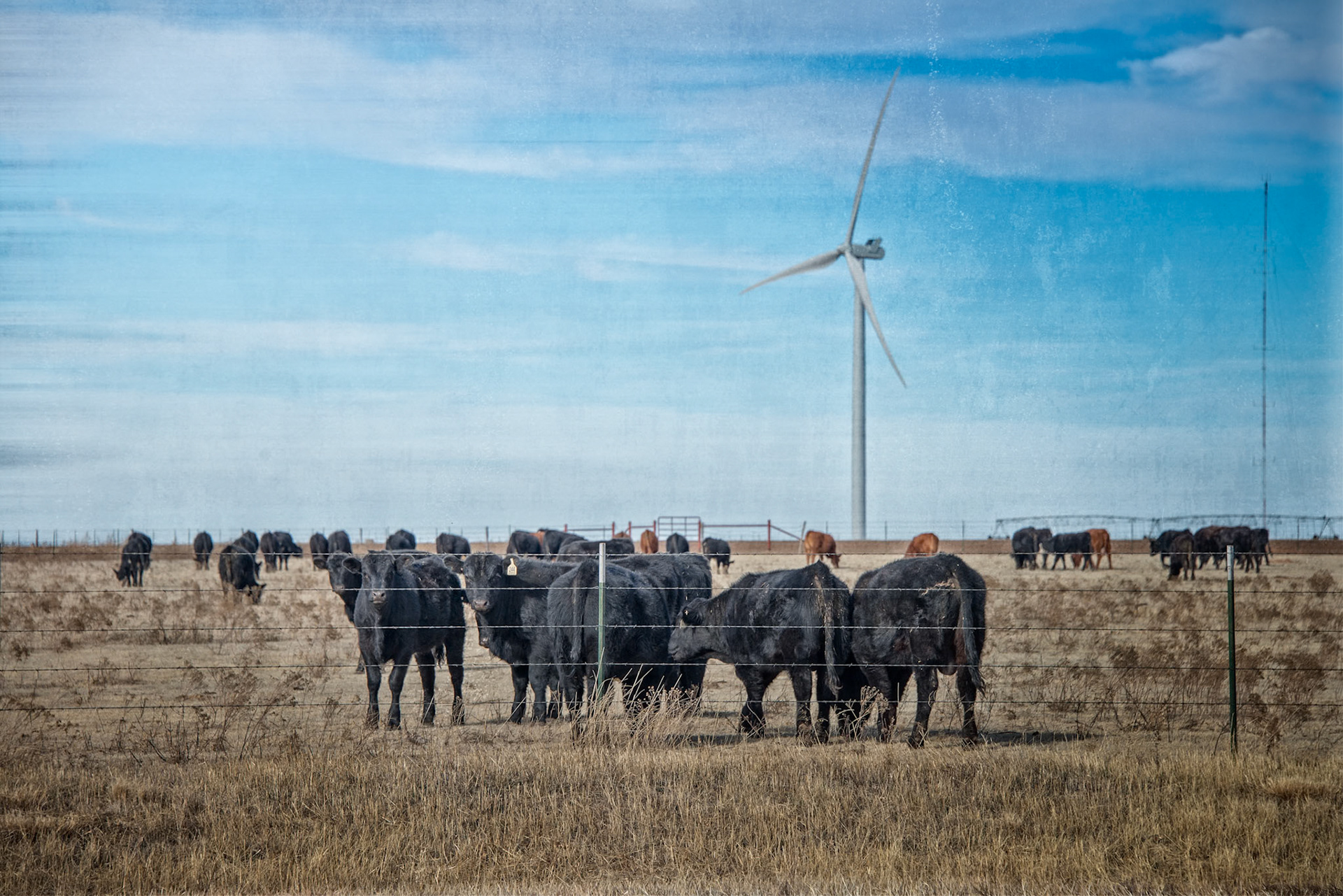 Driving Through the Texas Panhandle