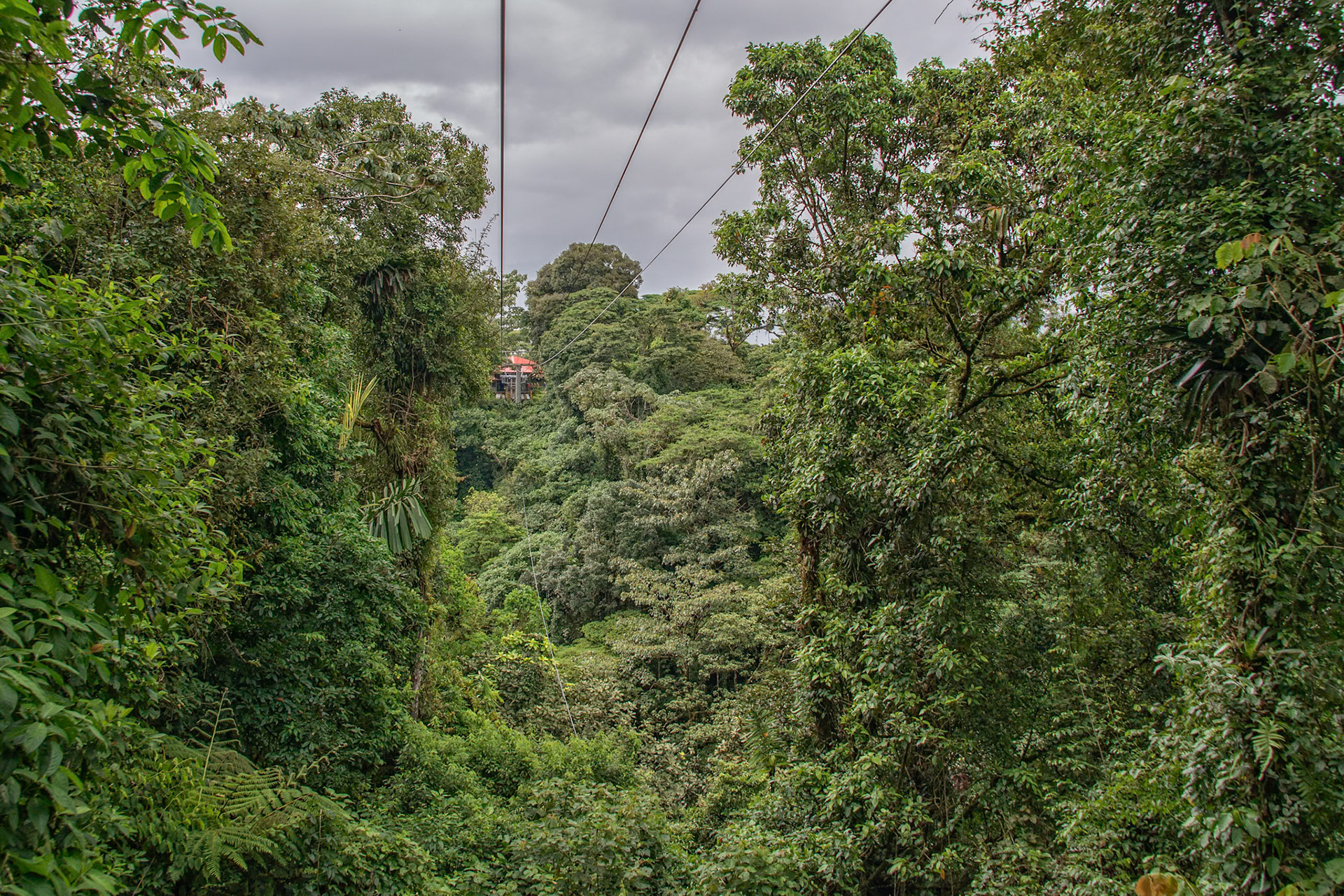 Arenal Volcano Area
