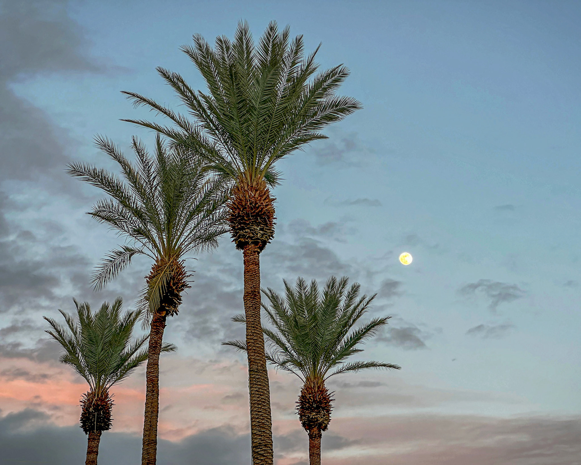 Full Moon Sunset (peach)