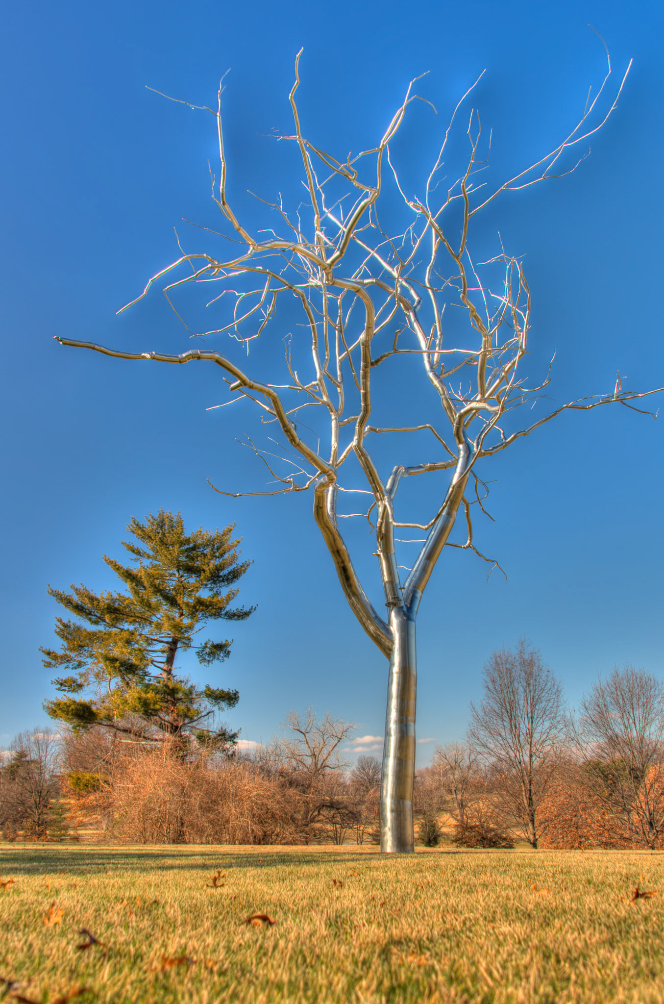 Silver Tree, SLAM