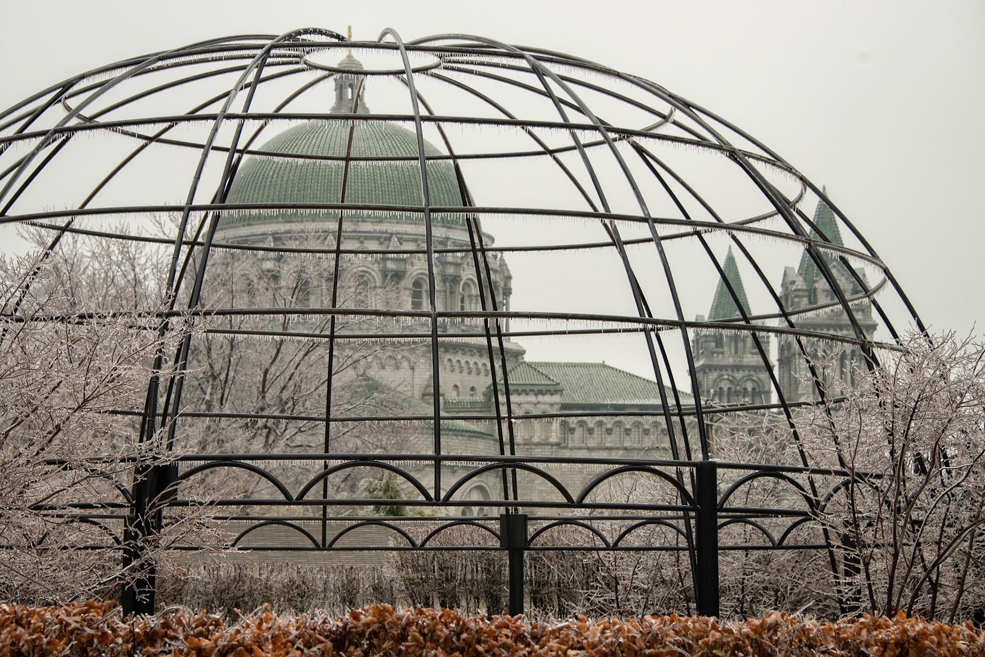 Ice Storm at Taylor Park