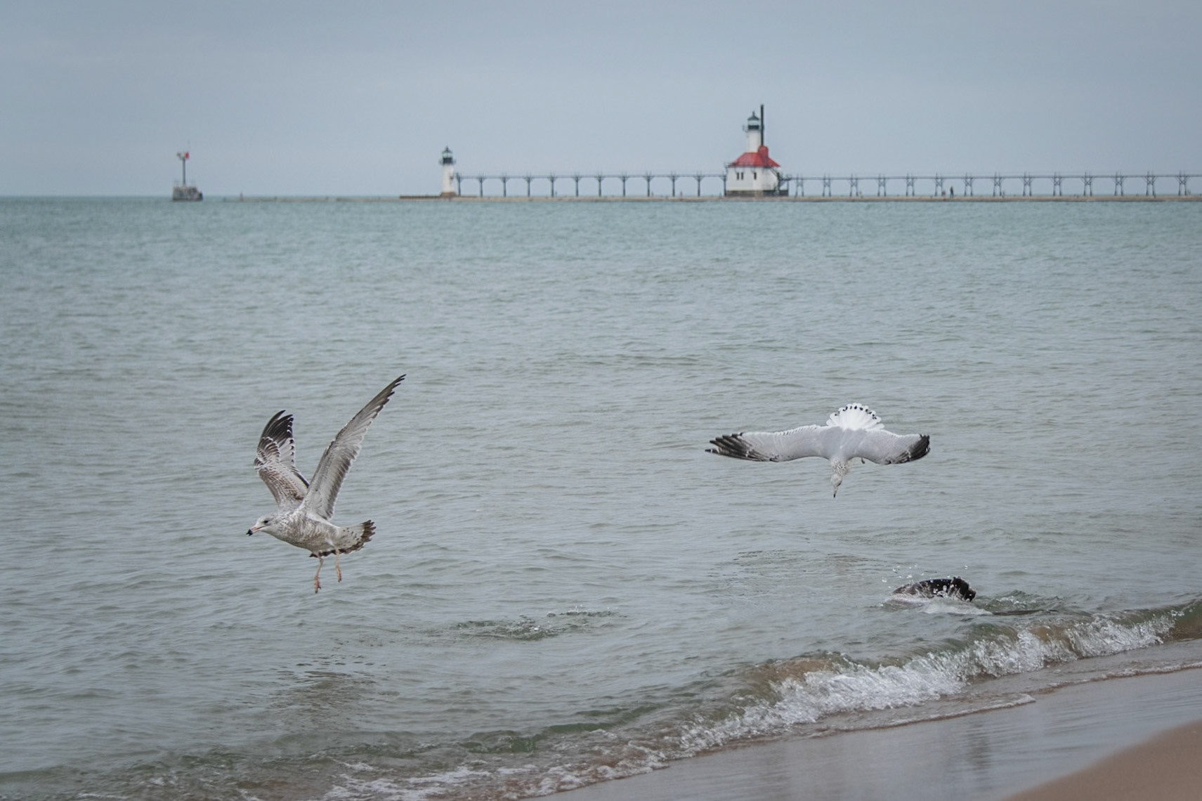 St Joseph, Michigan #1293