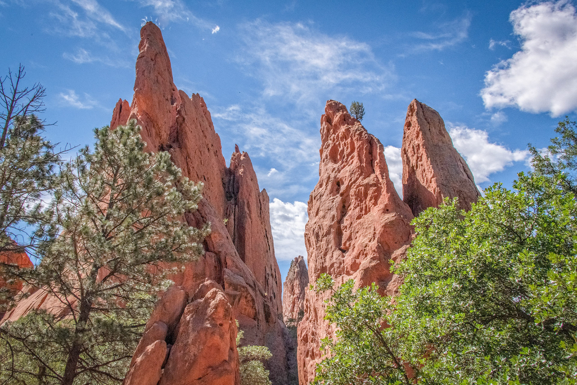 Garden of the Gods