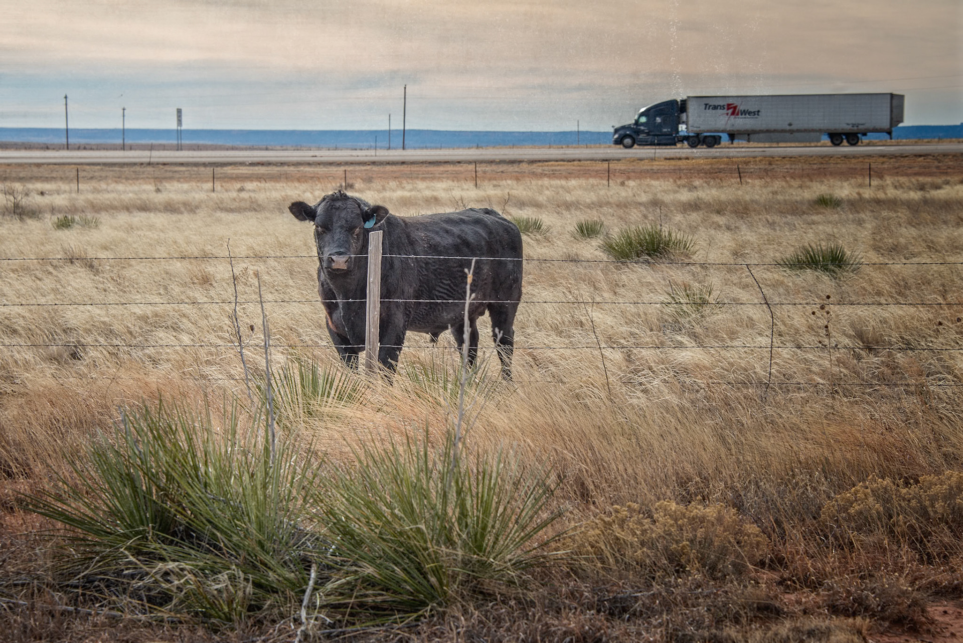 Driving through New Mexico