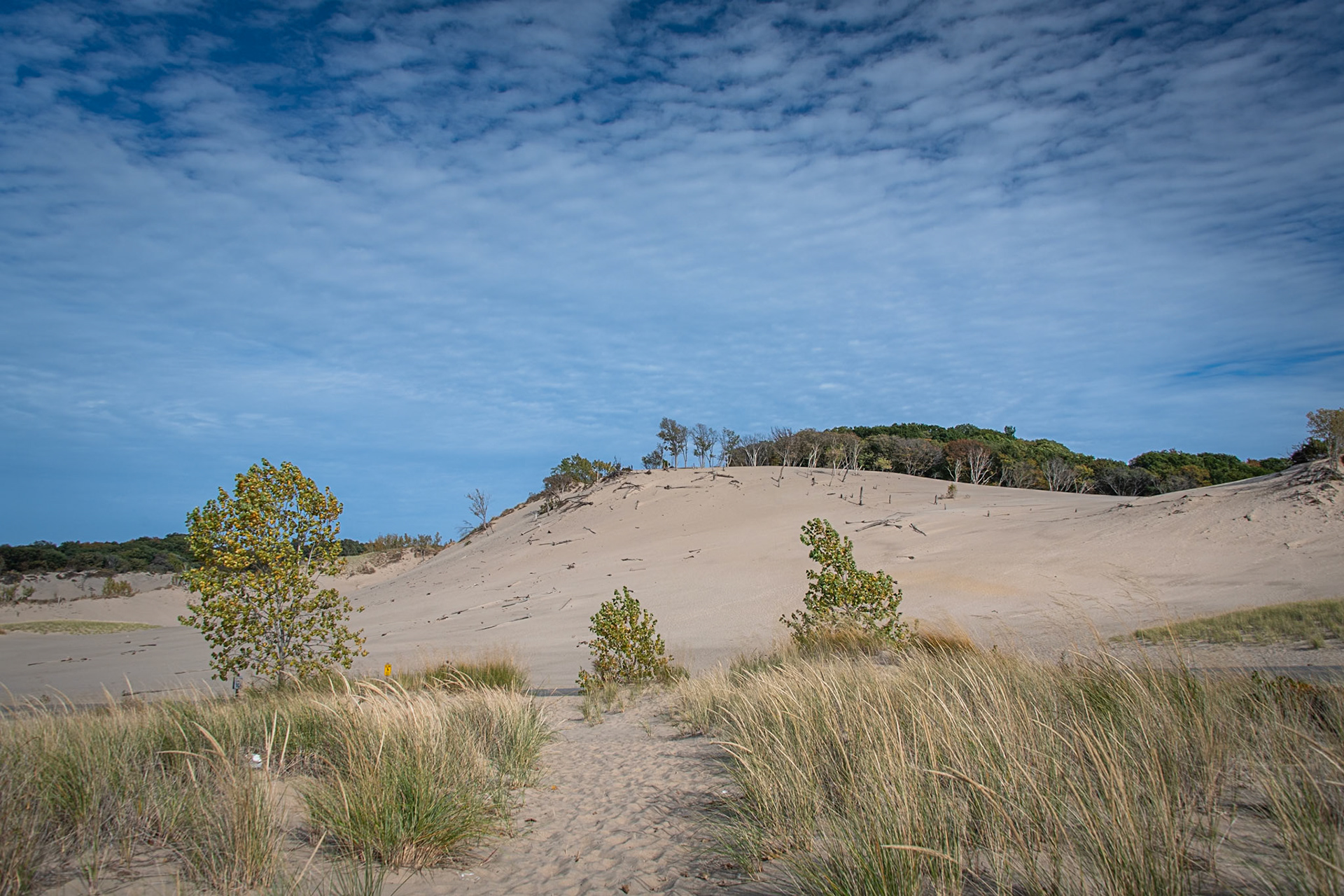 Warren Dunes State Park #1602