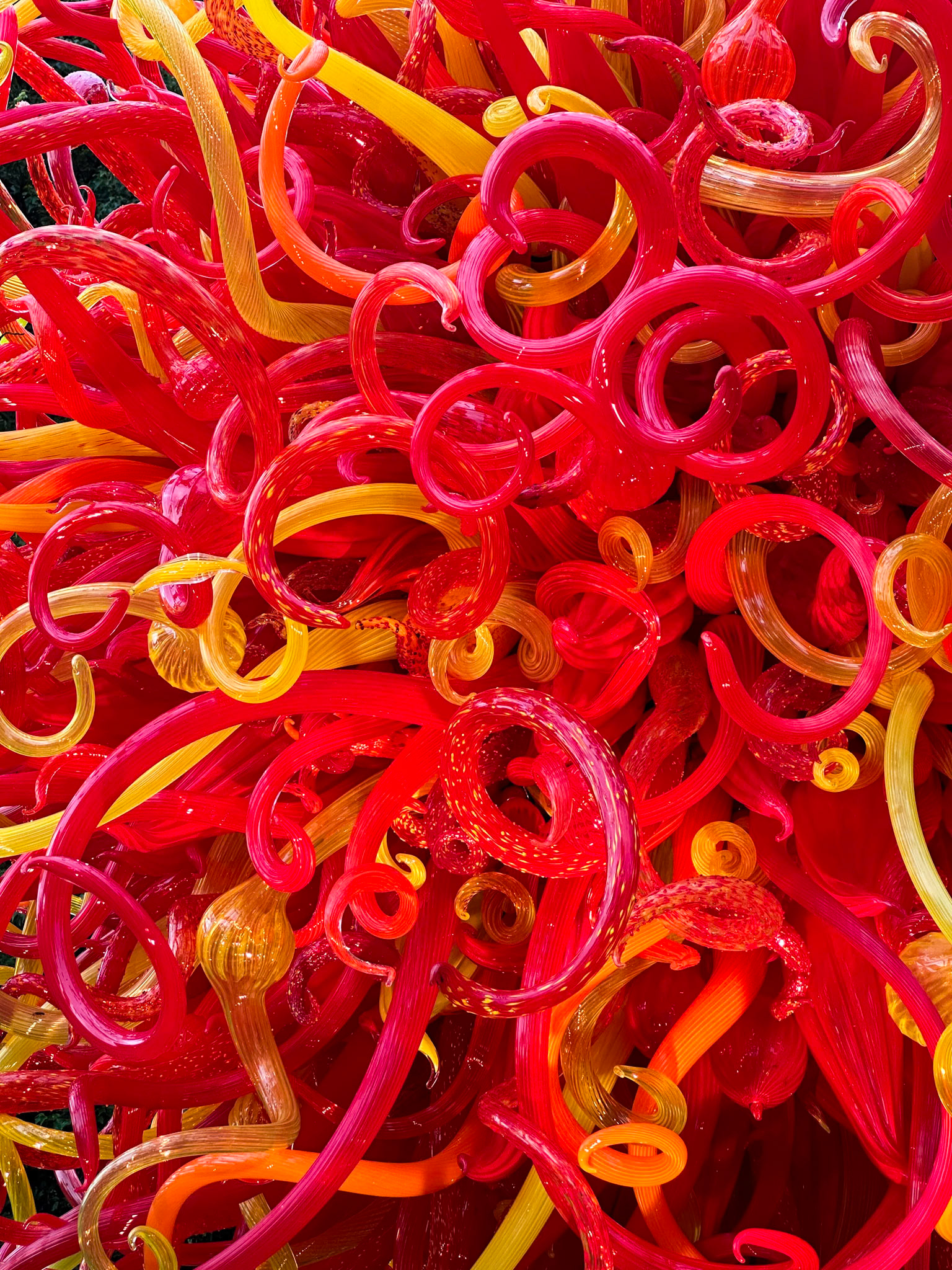 MOBOT Chihuly, 2023