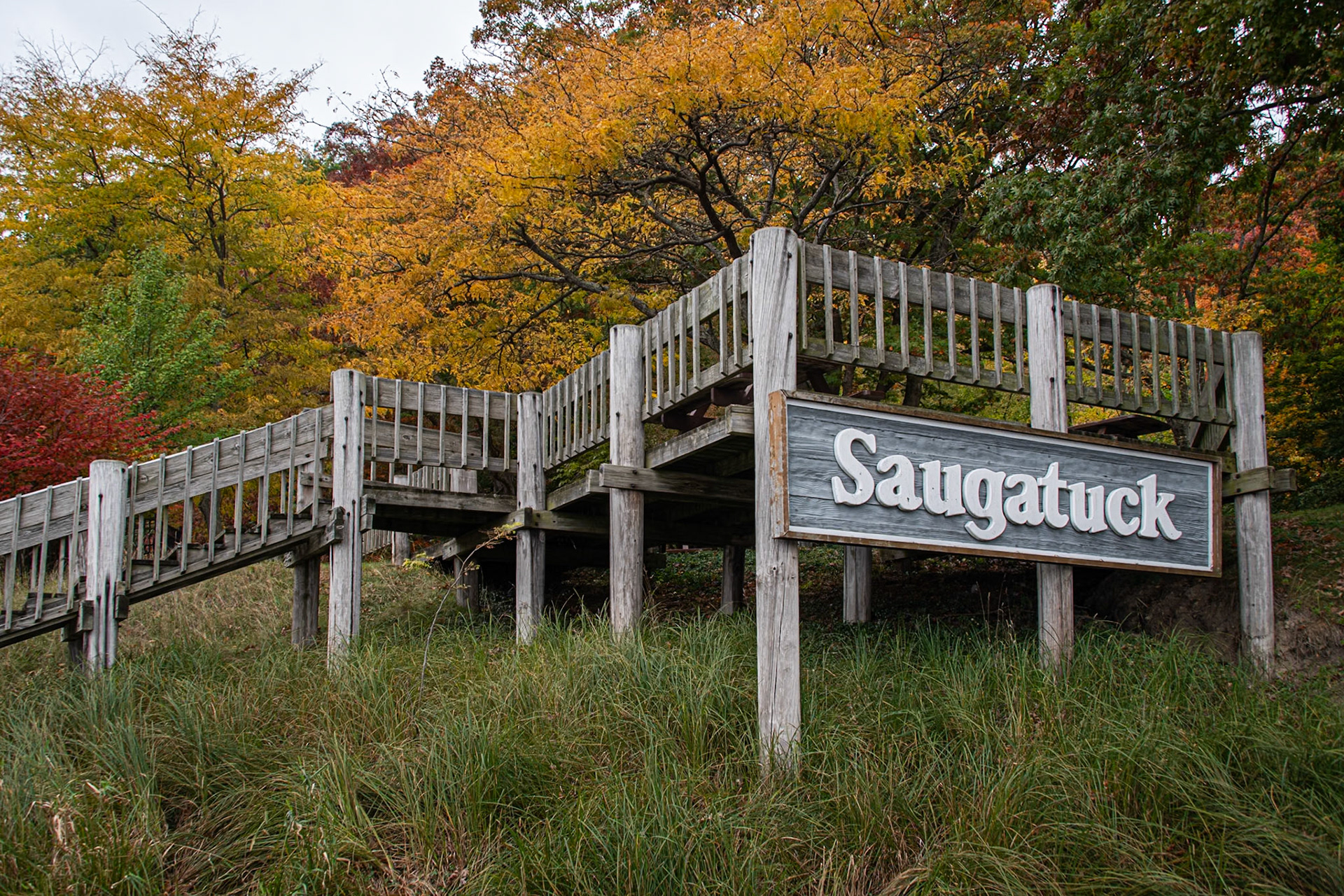 Saugatuck, Michigan #1502