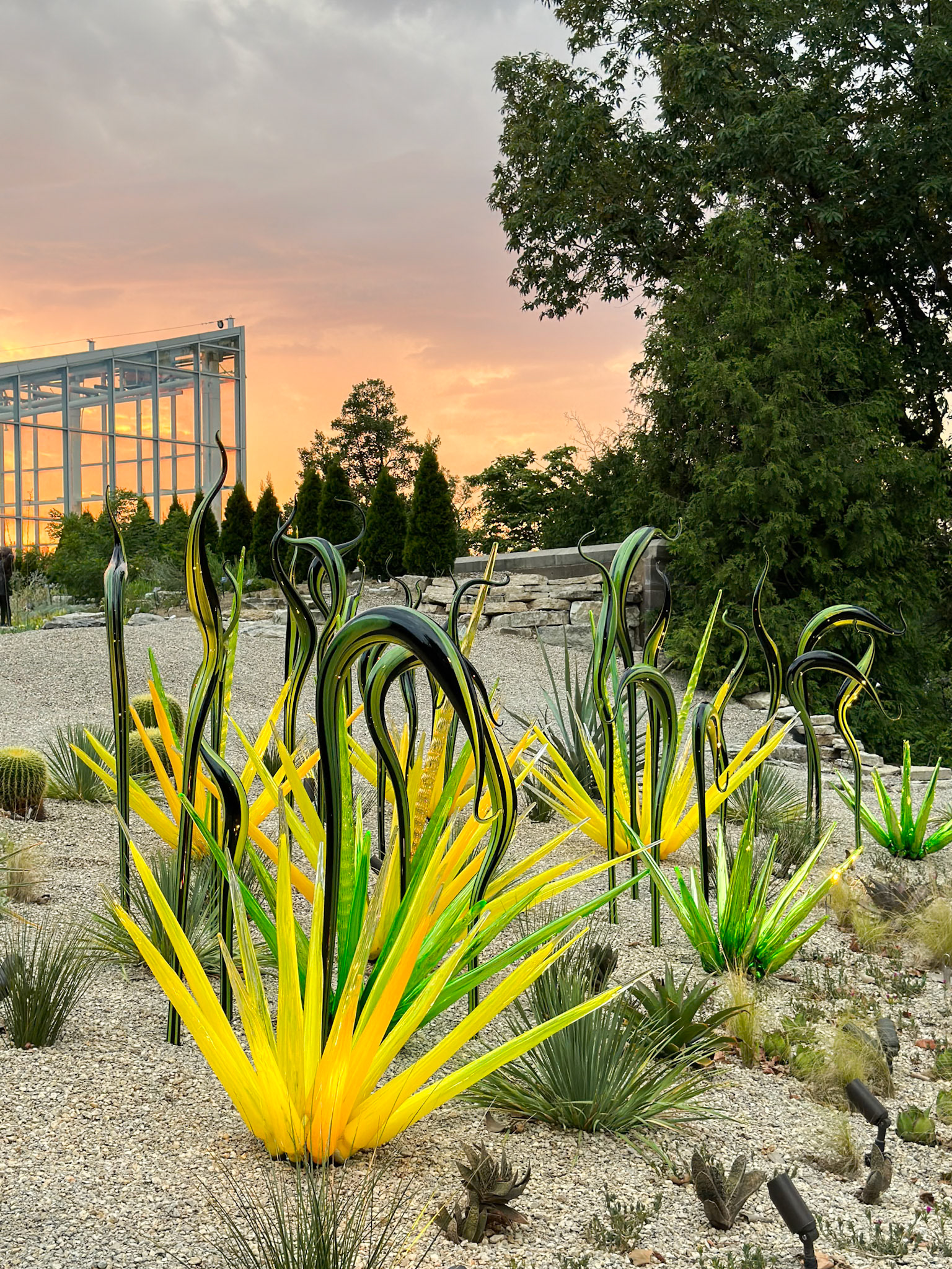 MOBOT Chihuly, 2023