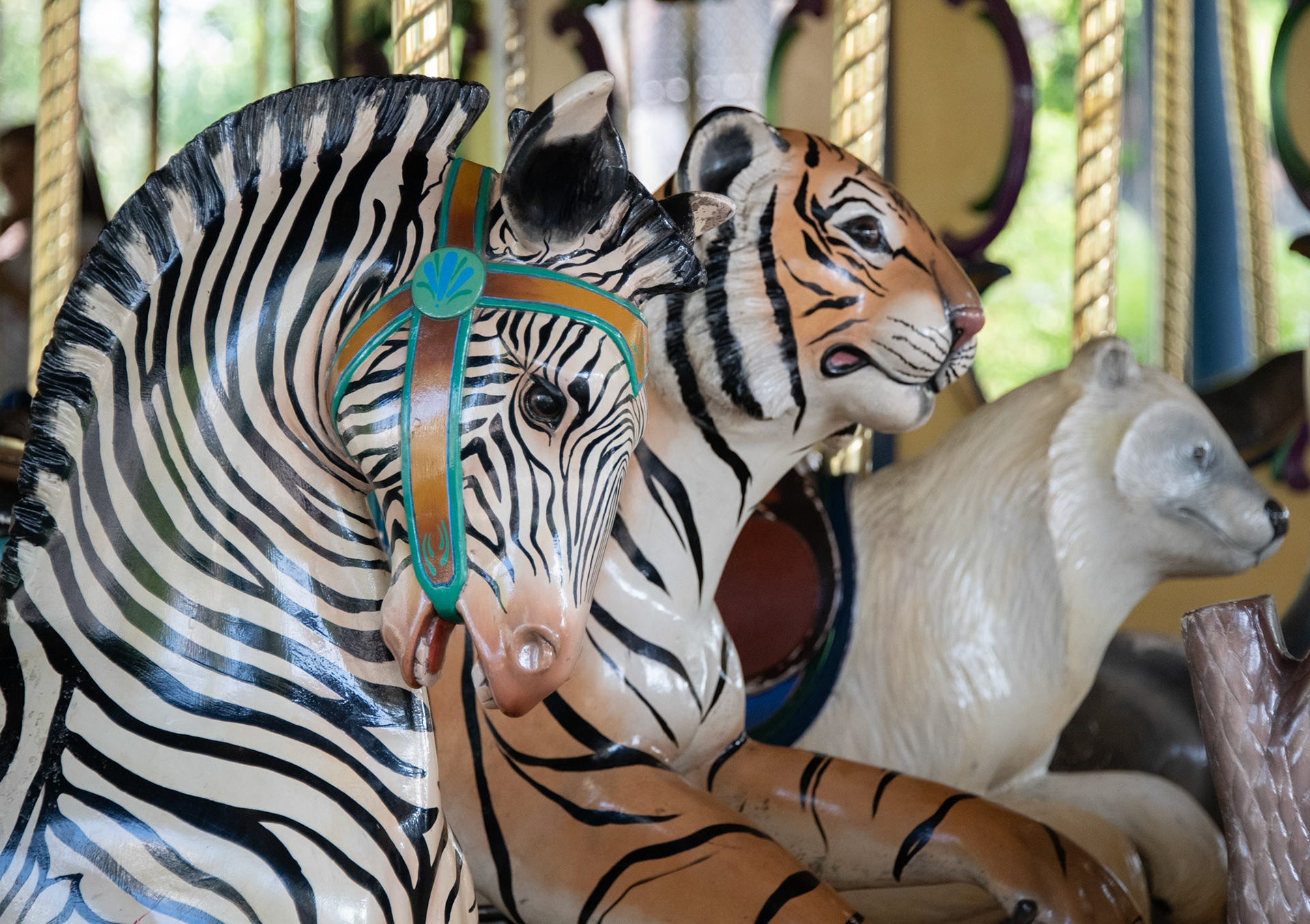 The Conservation Carousel at the St Louis Zoo includes hand-carved wooden animal sculptures, representing protected and endangered species.