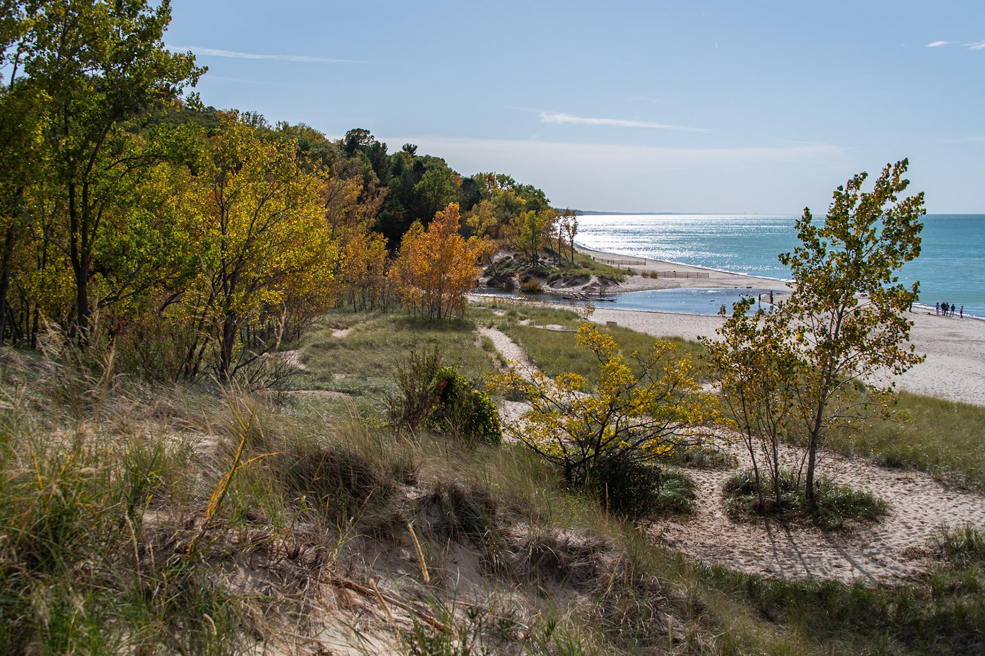 Warren Dunes State Park 1572