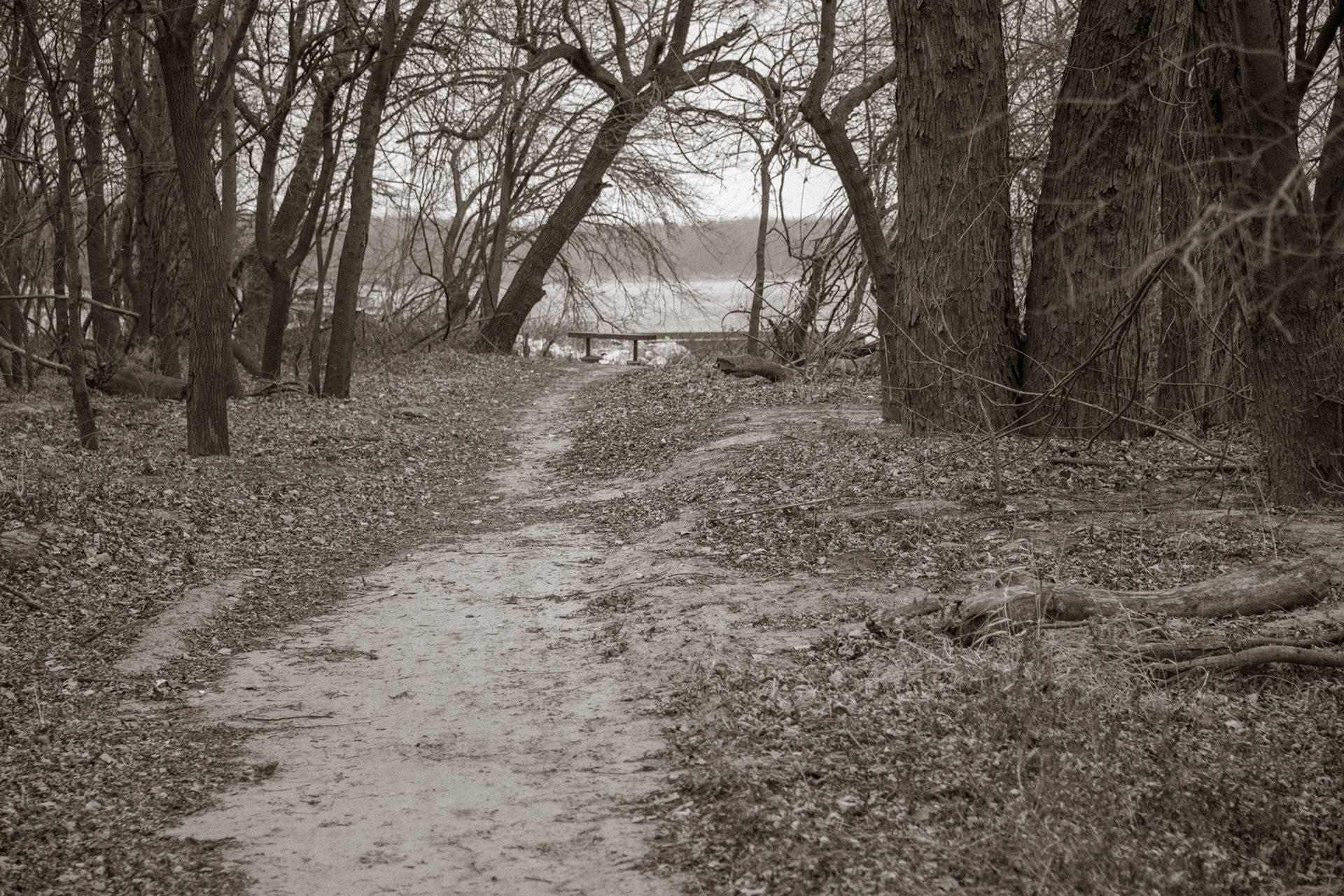 Winter Beneath the Chain of Rocks Bridge; Madison, IL