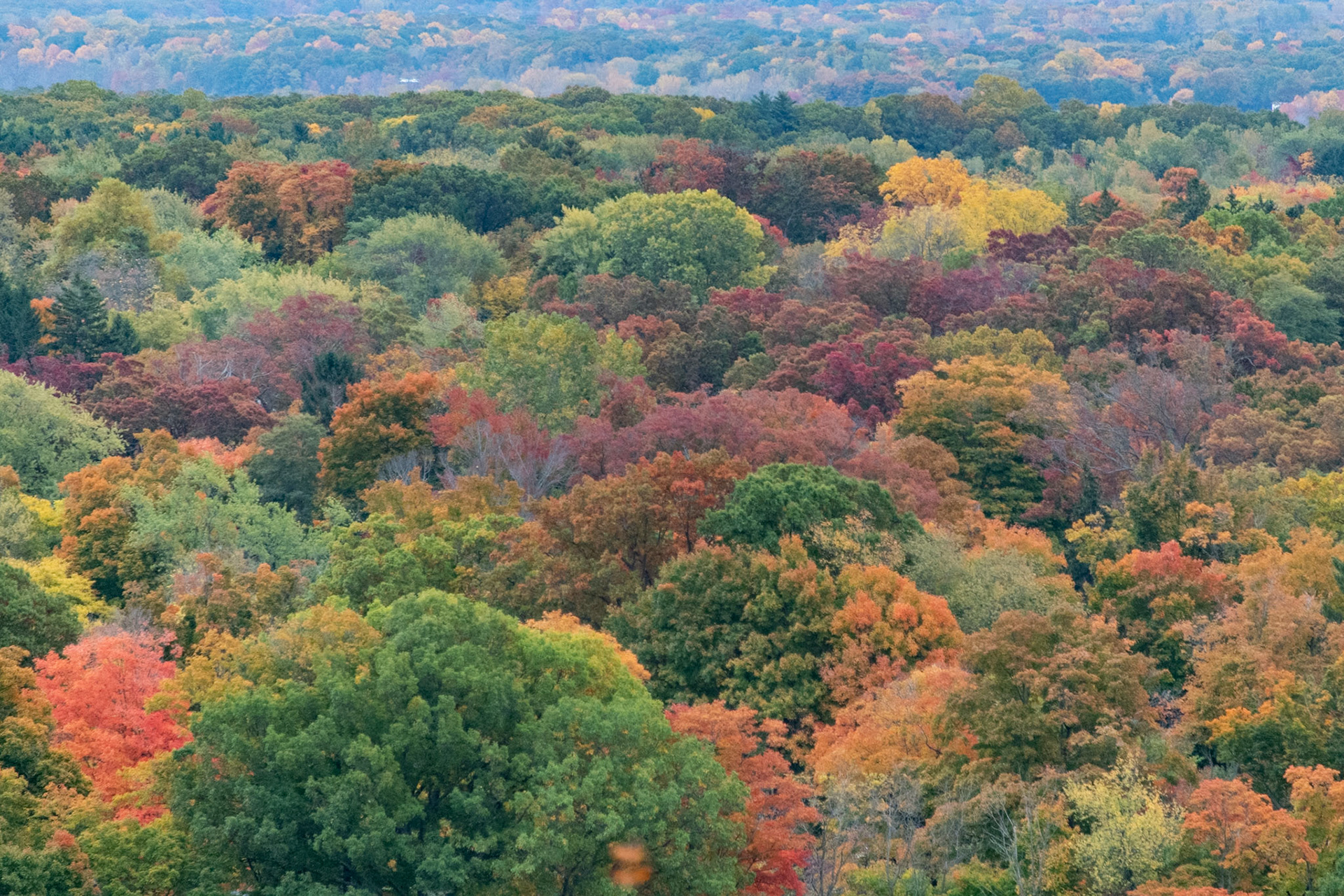 Saugatuck, Michigan #1478
