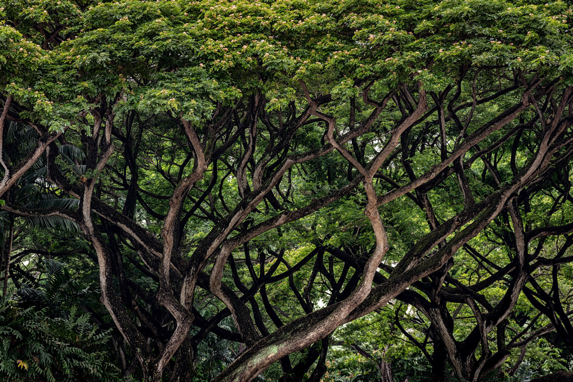 Orchard Road, Singapore
