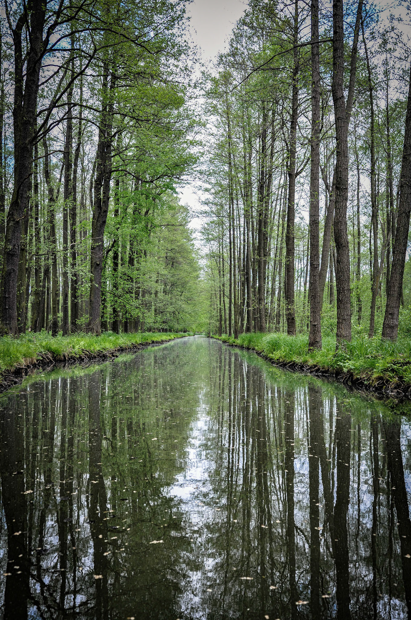 Spreewald, Germany