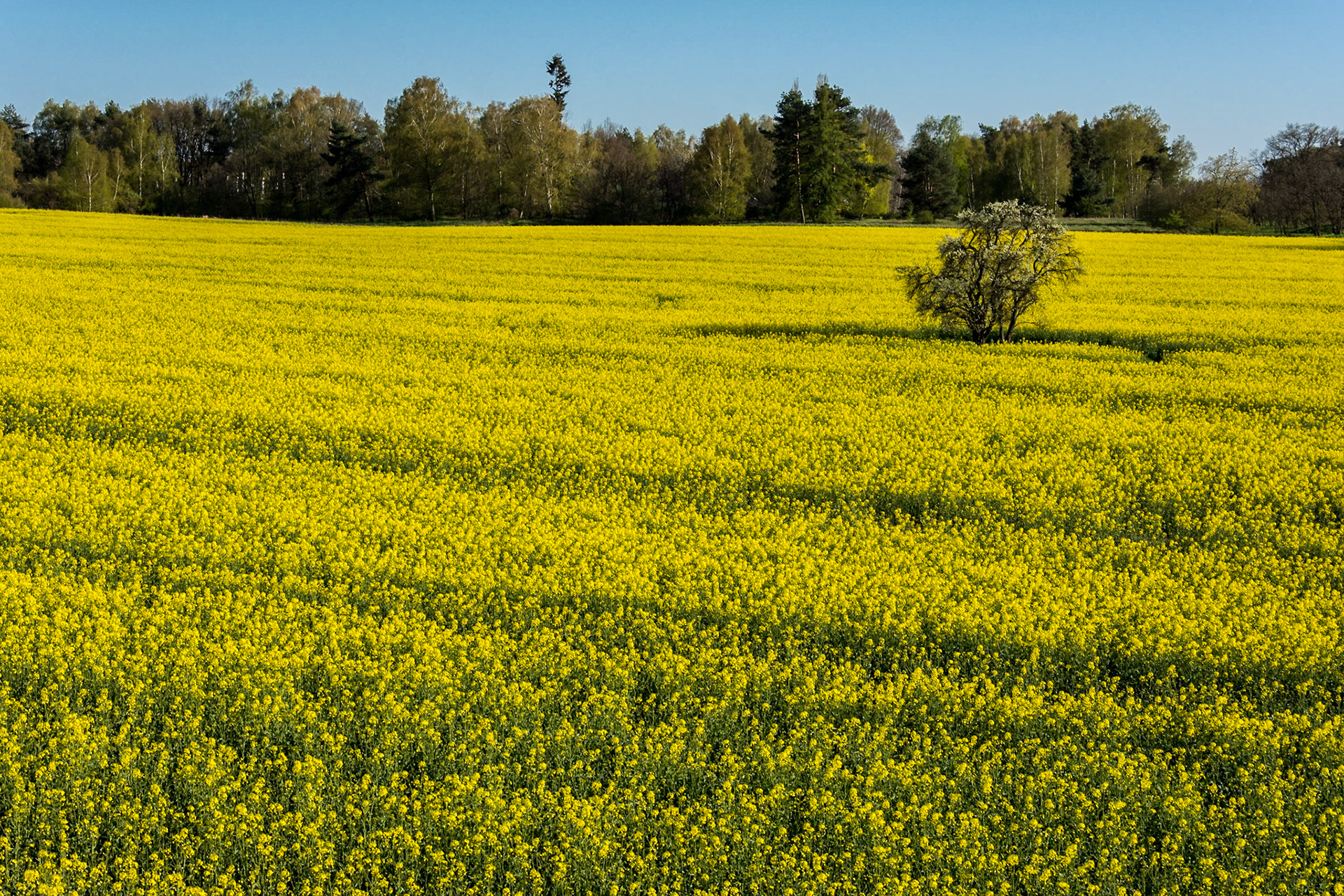 Brandenburg, Germany