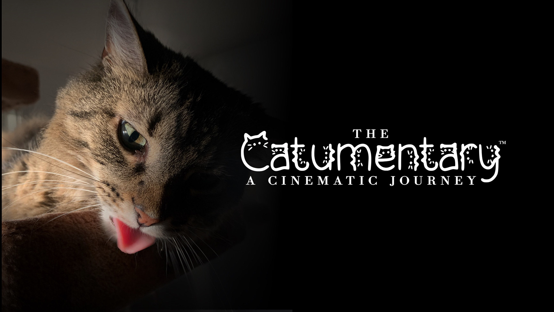 The Catumentary: A Cinematic Journey