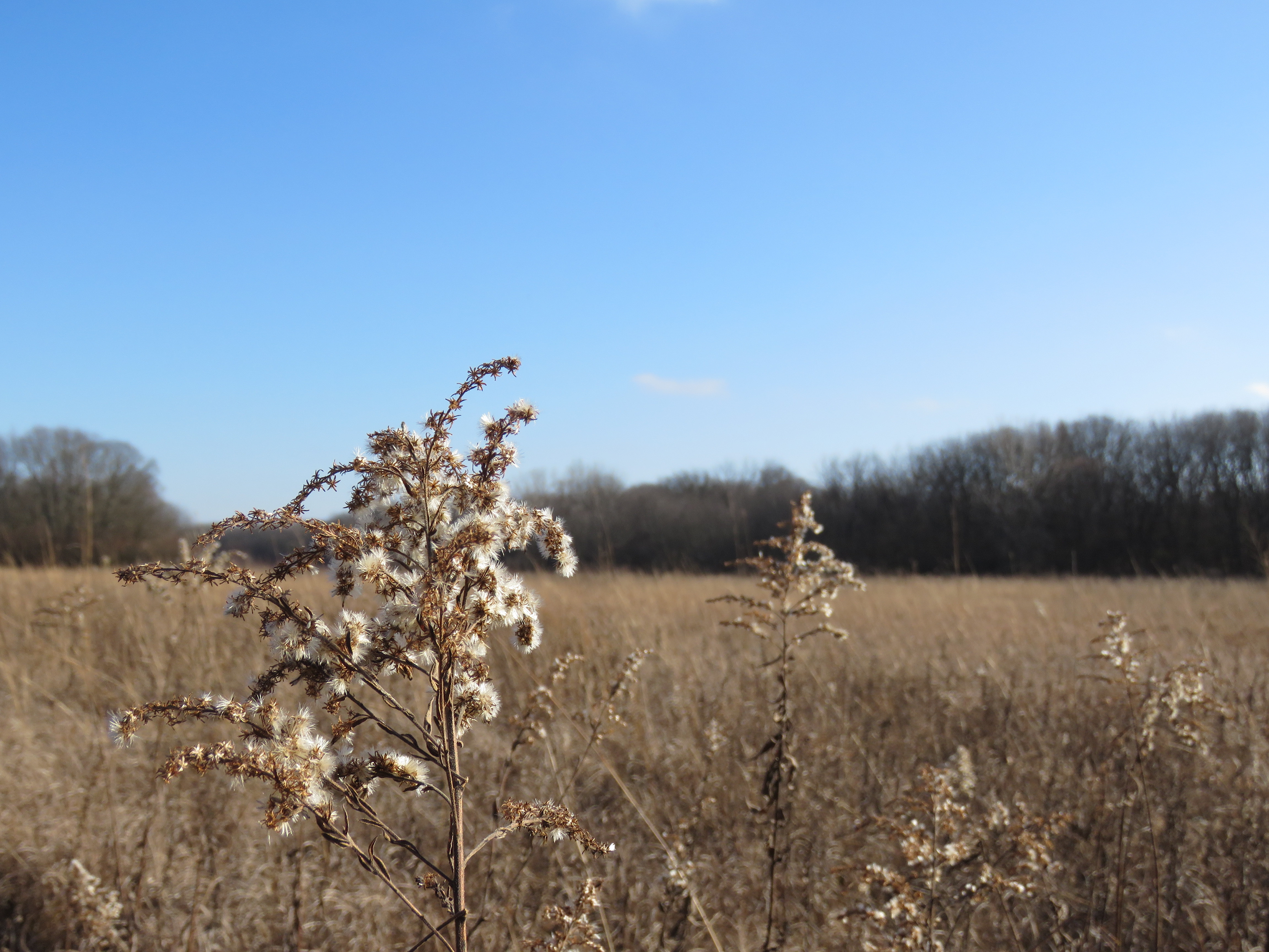 Depth of Field