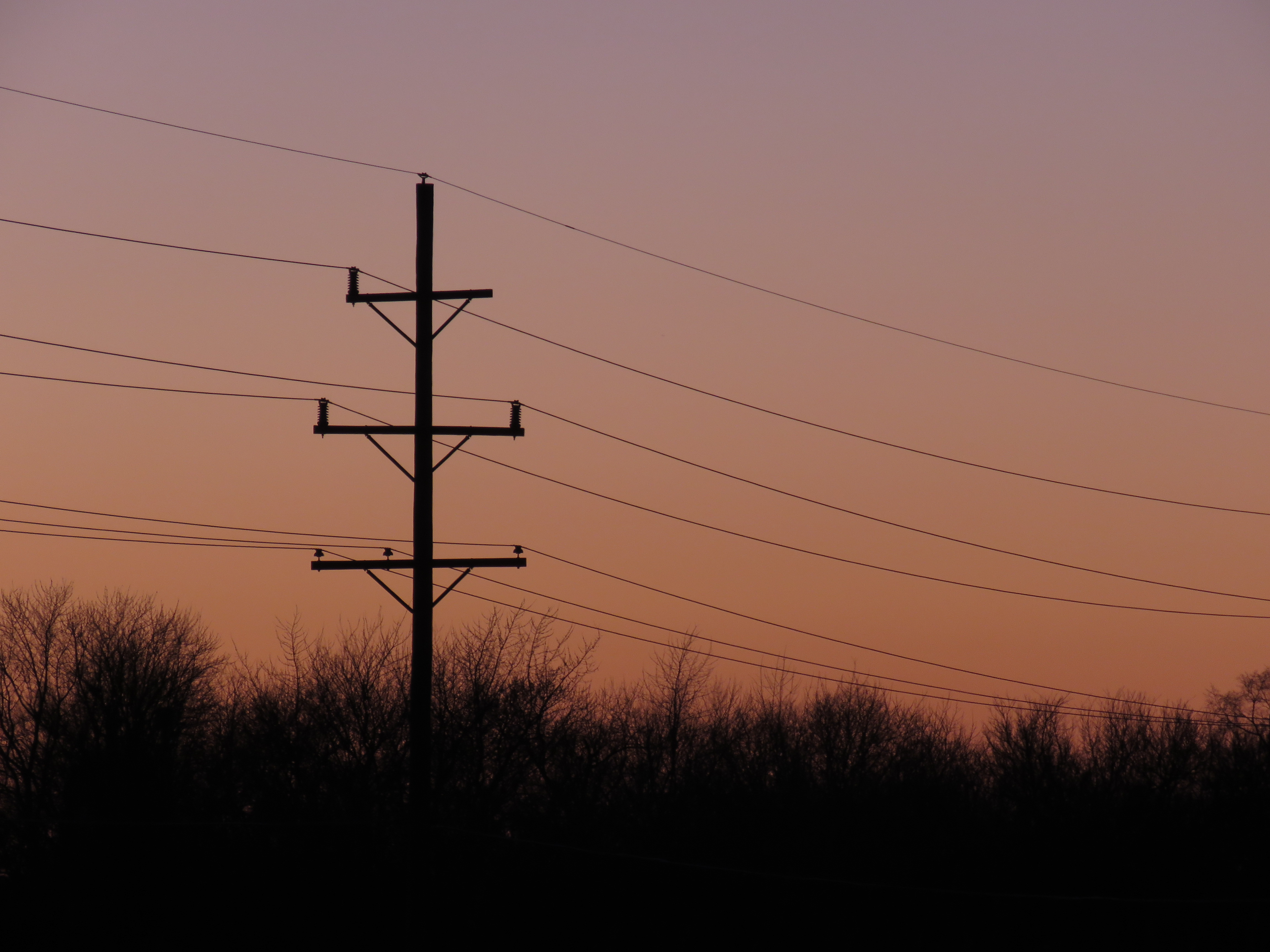Silhouettes