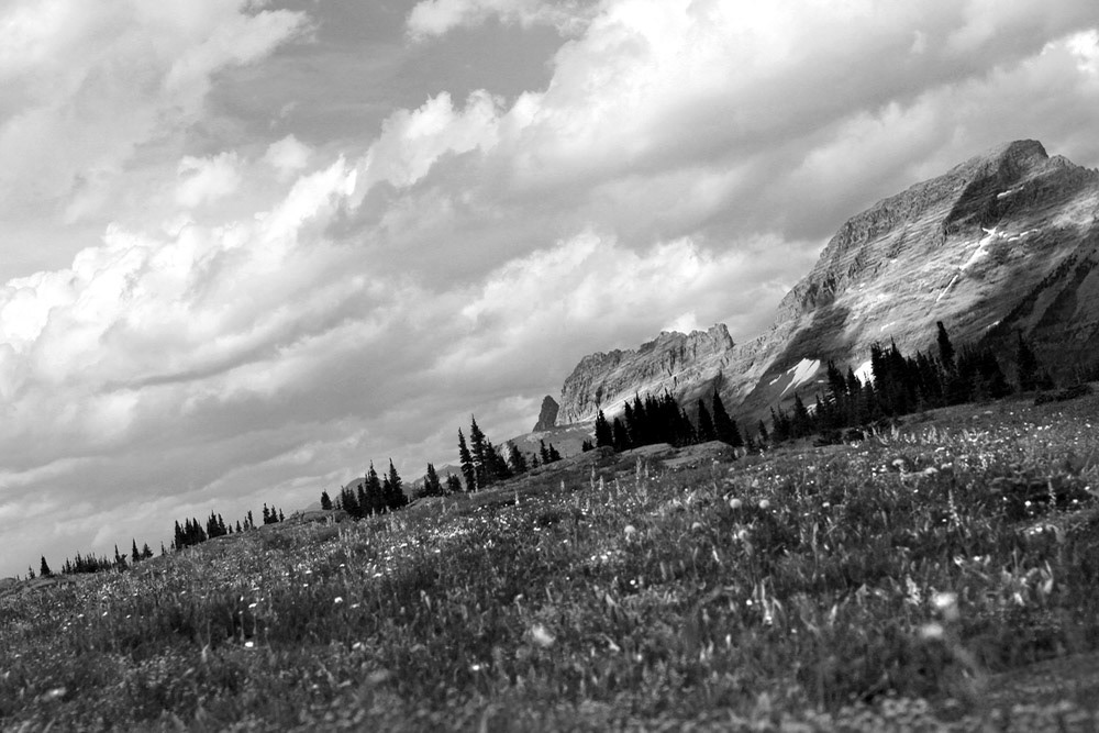 IMG_2481_BW