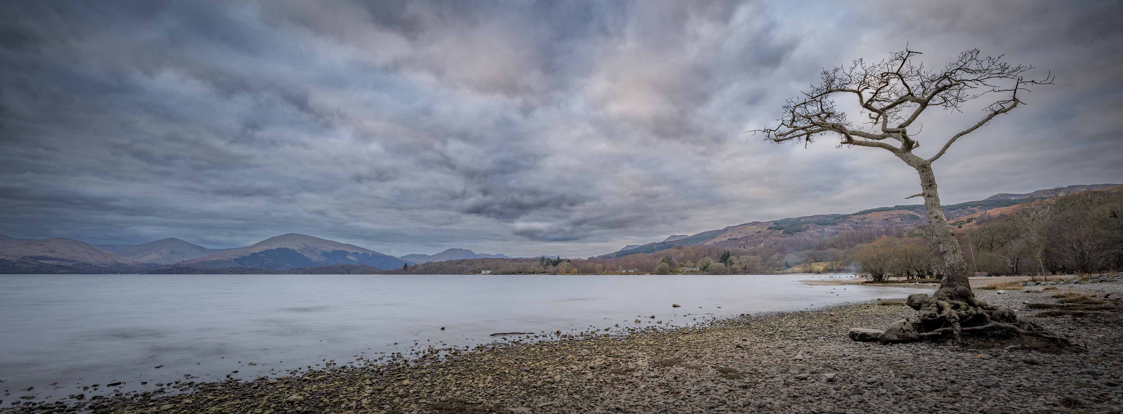 The Tree at Mirarrochy Bay