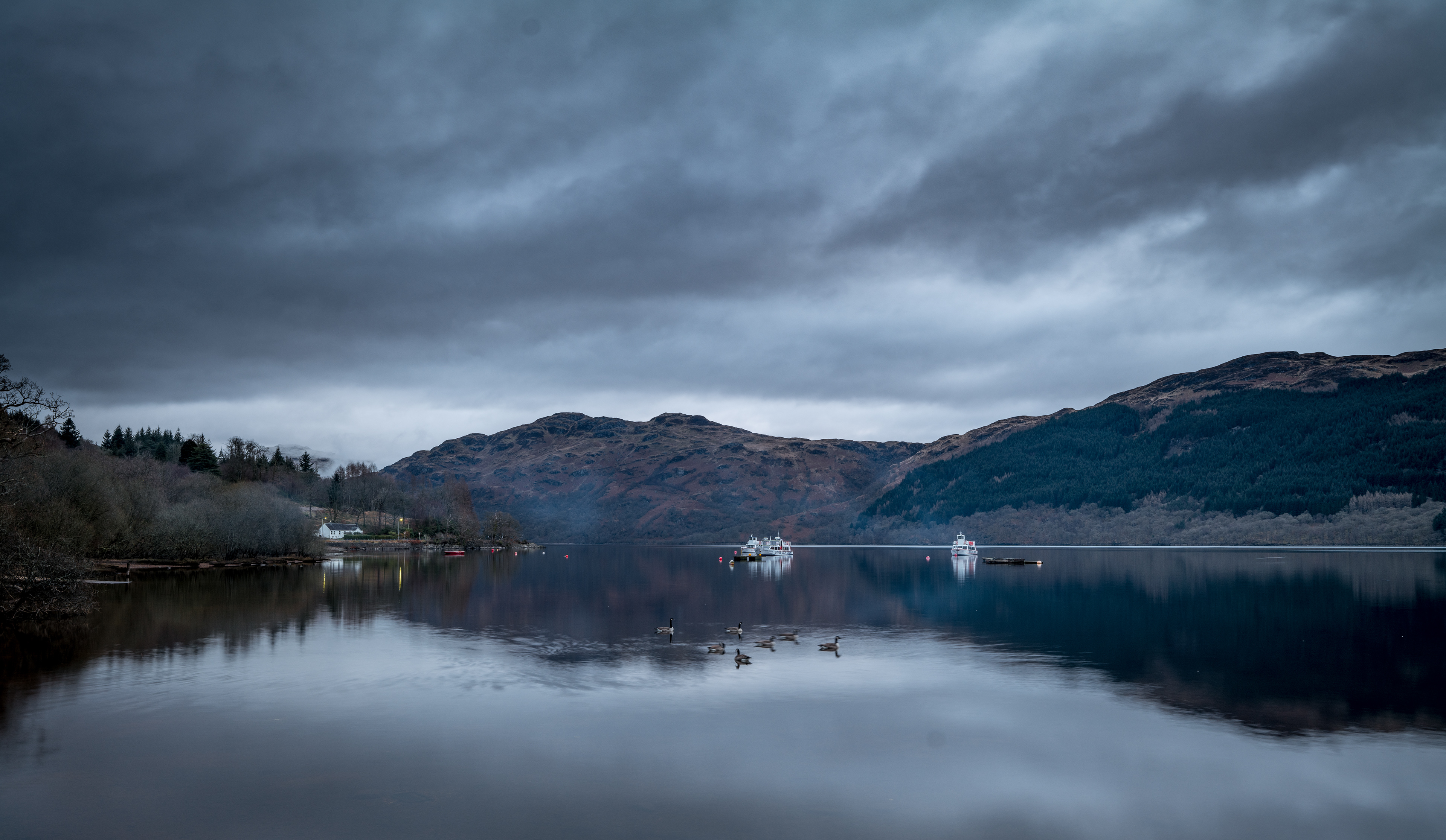 Cold Dawn