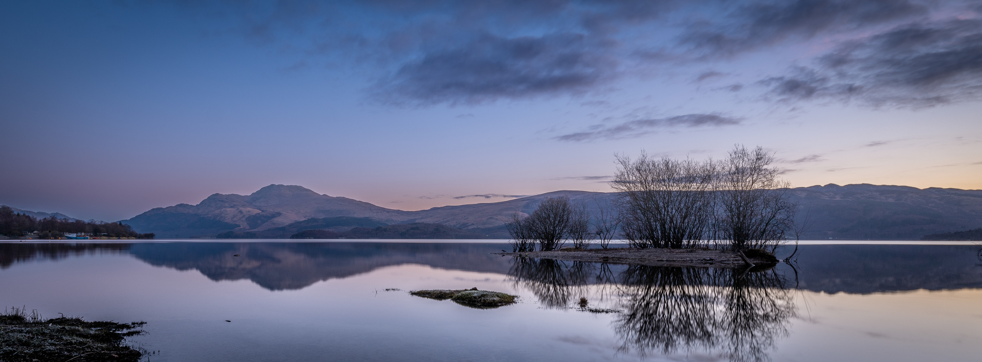 Trees at Sunrise