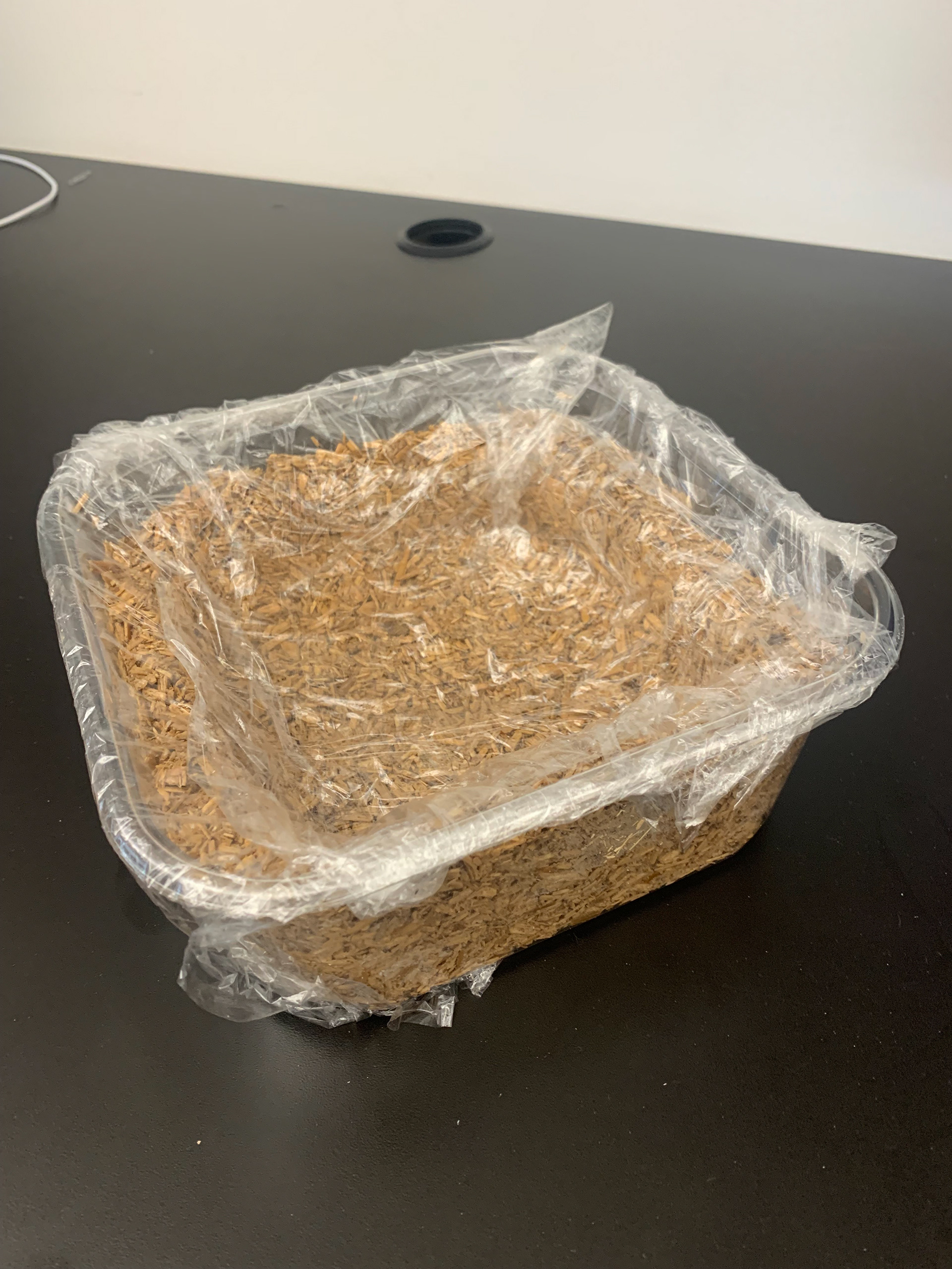 wet product mold