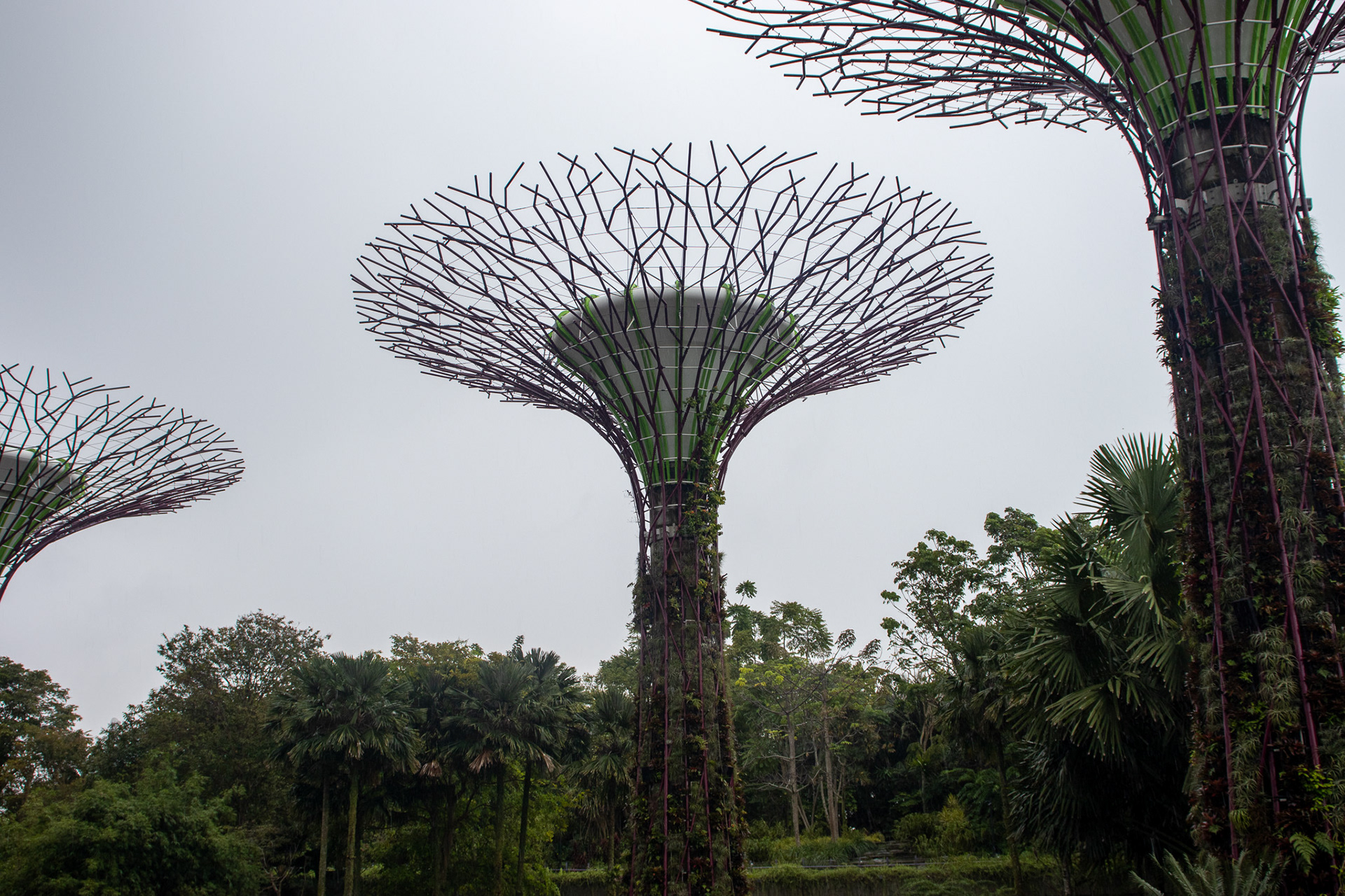 Singapore's unique structure
